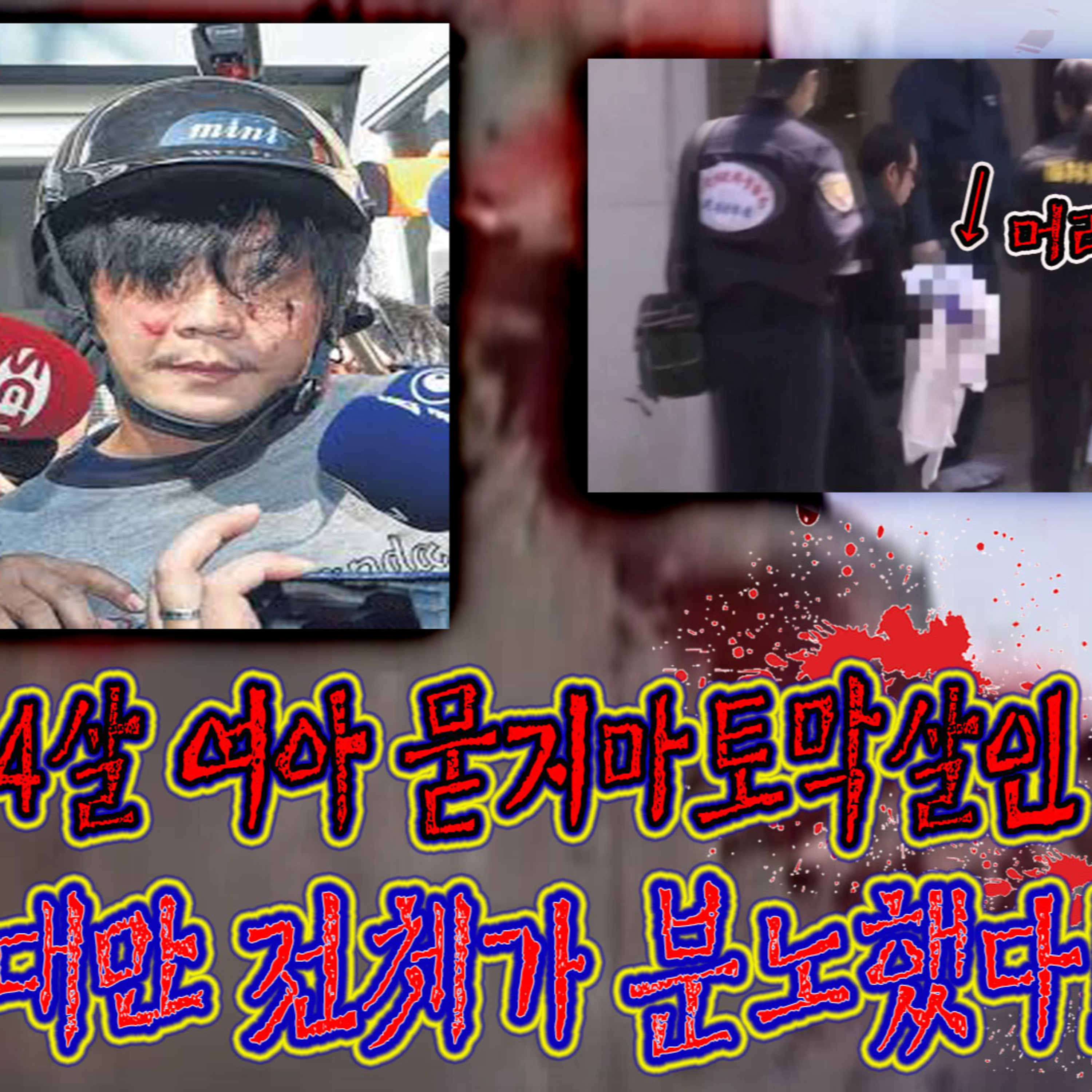 엄마 앞에서 딸의 목을 두동강 낸 대만 사이코│케이짱의 공포라디오│