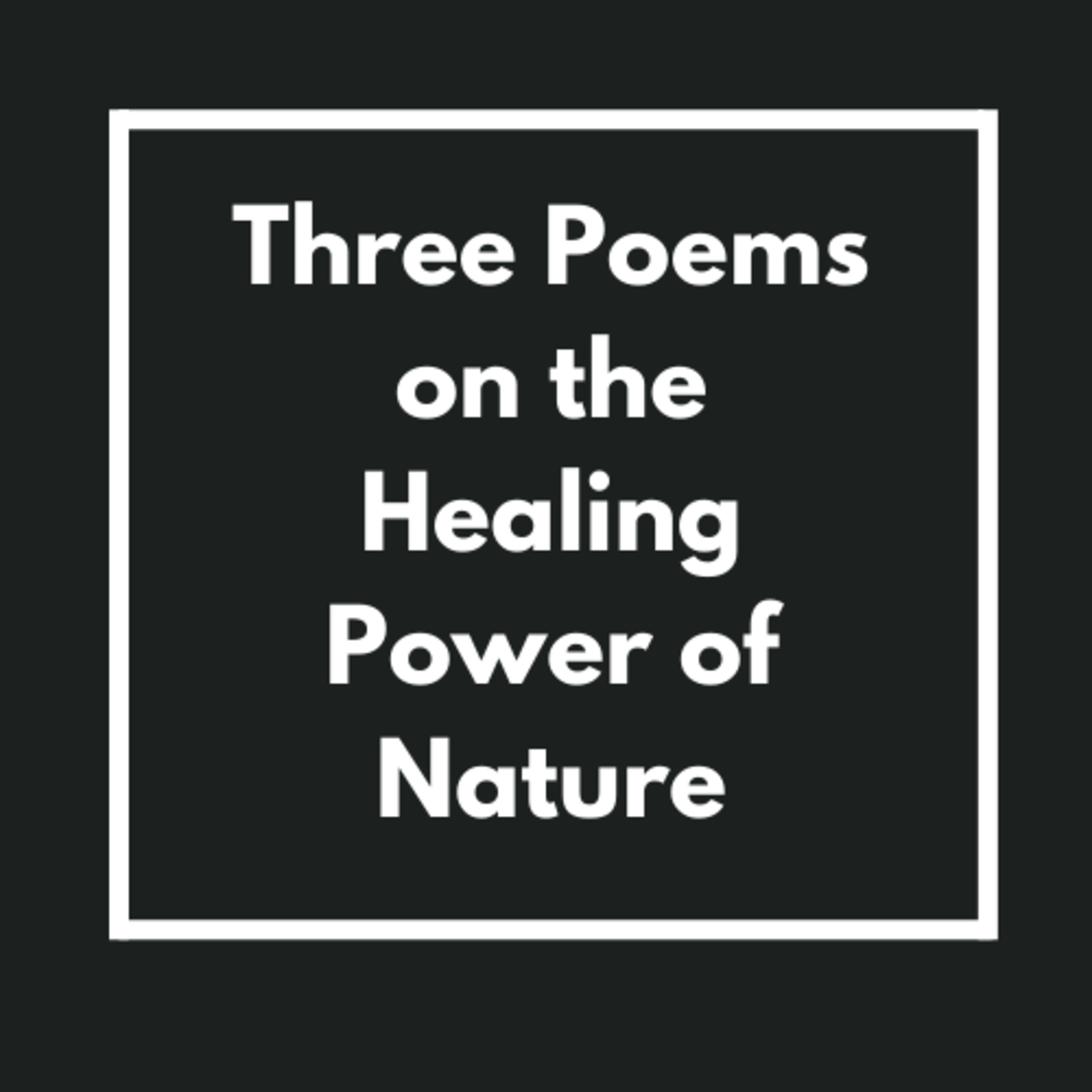 Poems for the Speed of Life