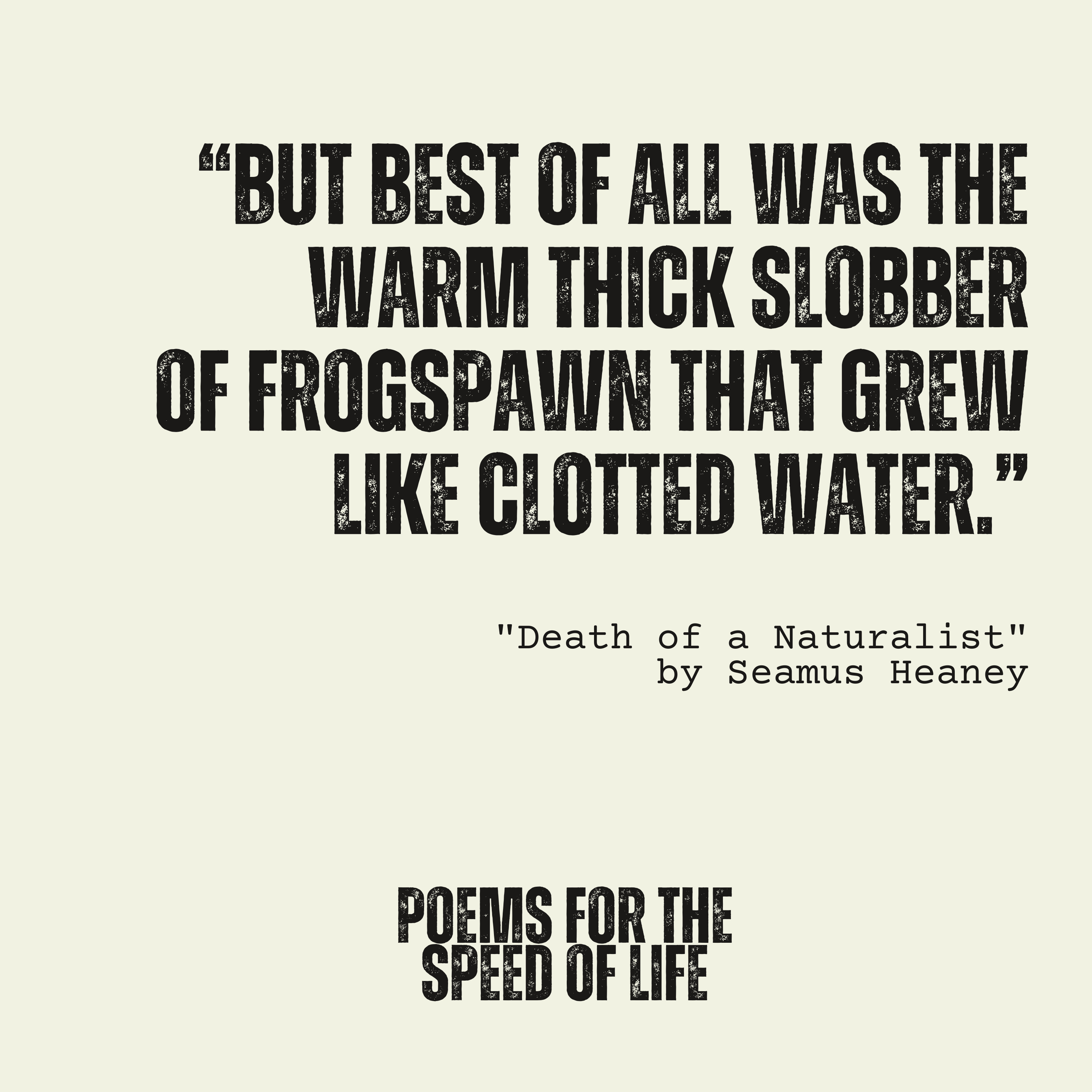 S5, E2: "Death of a Naturalist" by Seamus Heaney episode artwork
