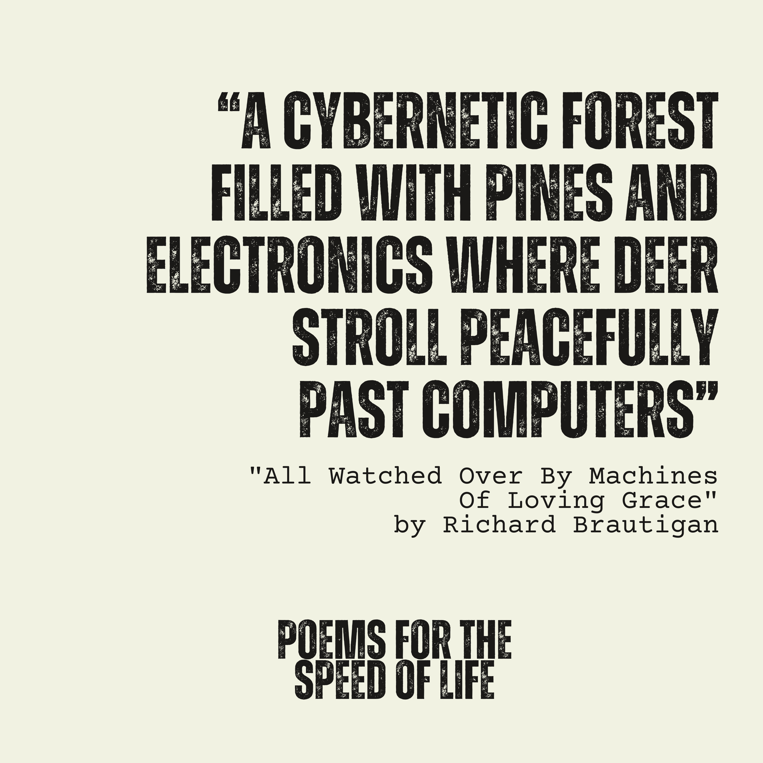 S5, E6: "All Watched Over By Machines Of Loving Grace" by Richard Brautigan episode artwork