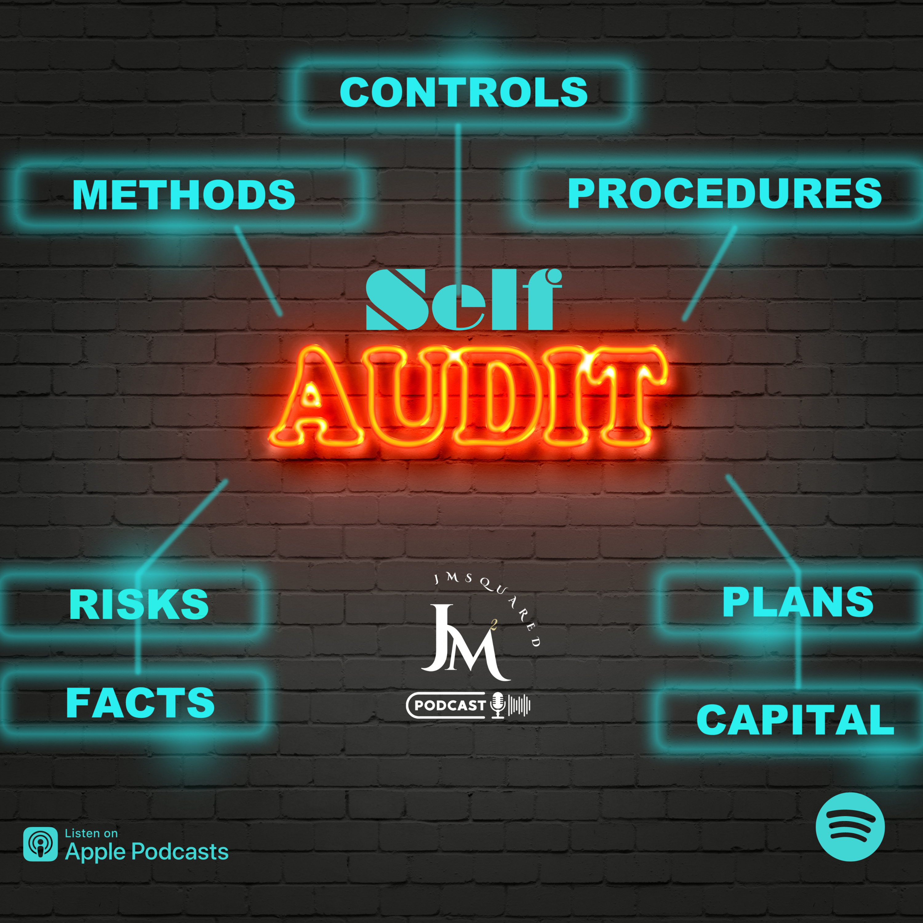 Self Audit episode artwork