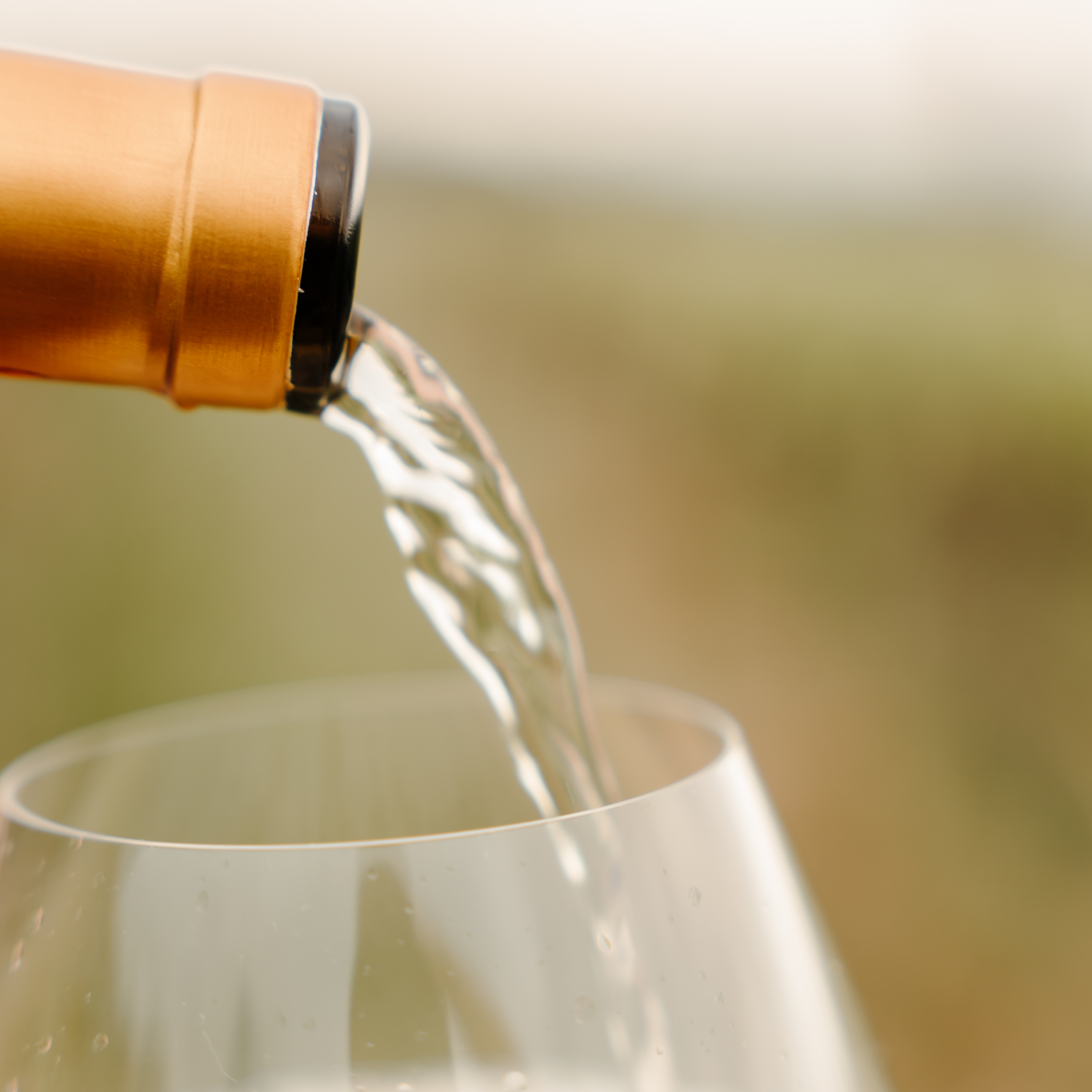 ONE MORE GLASS OF WINE