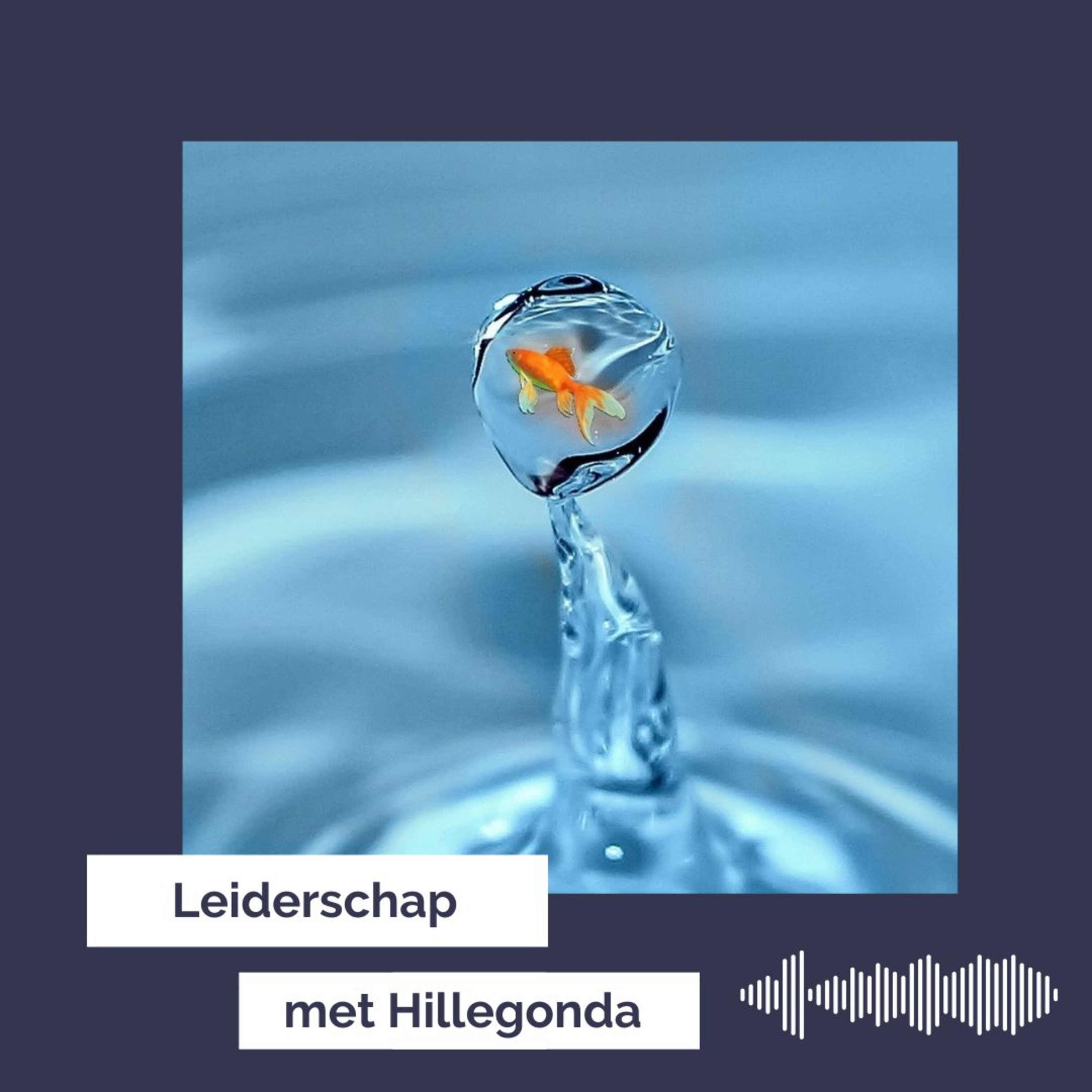 Leiderschap met Hillegonda