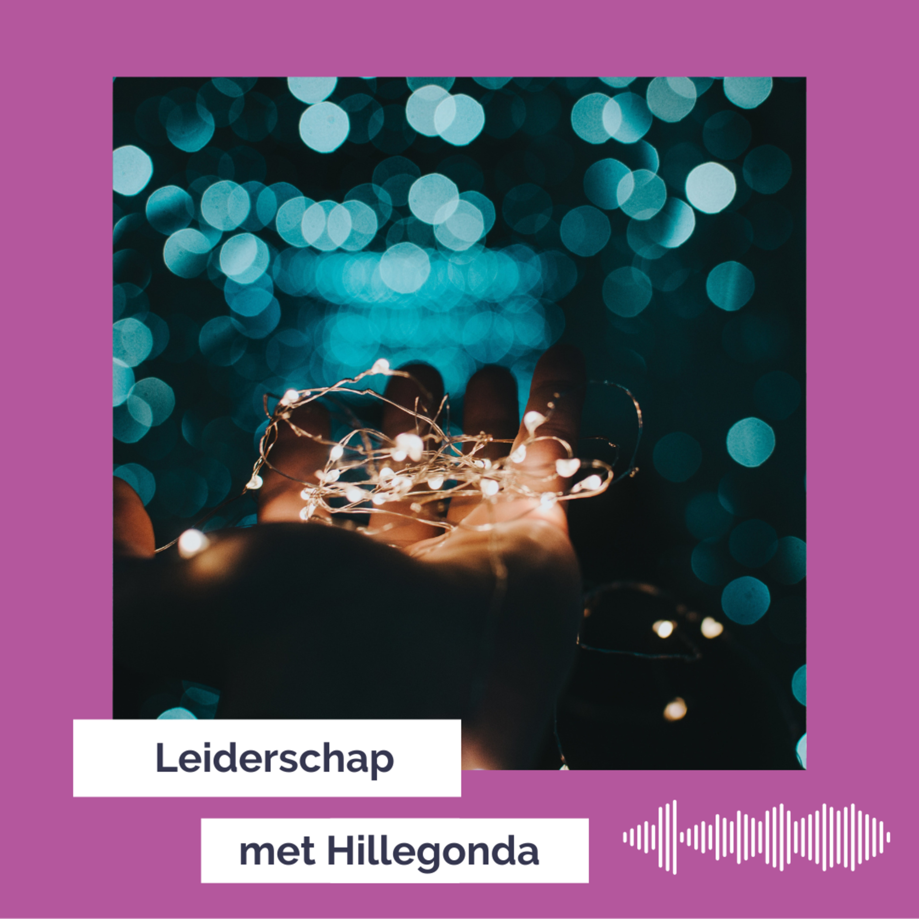 Leiderschap met Hillegonda