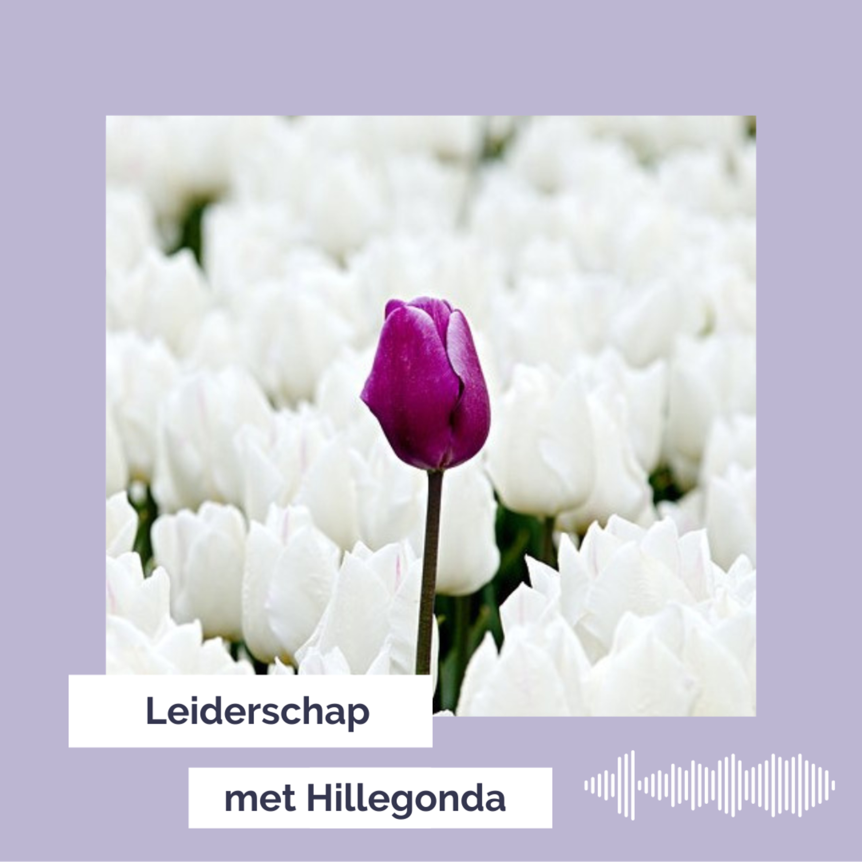 Leiderschap met Hillegonda