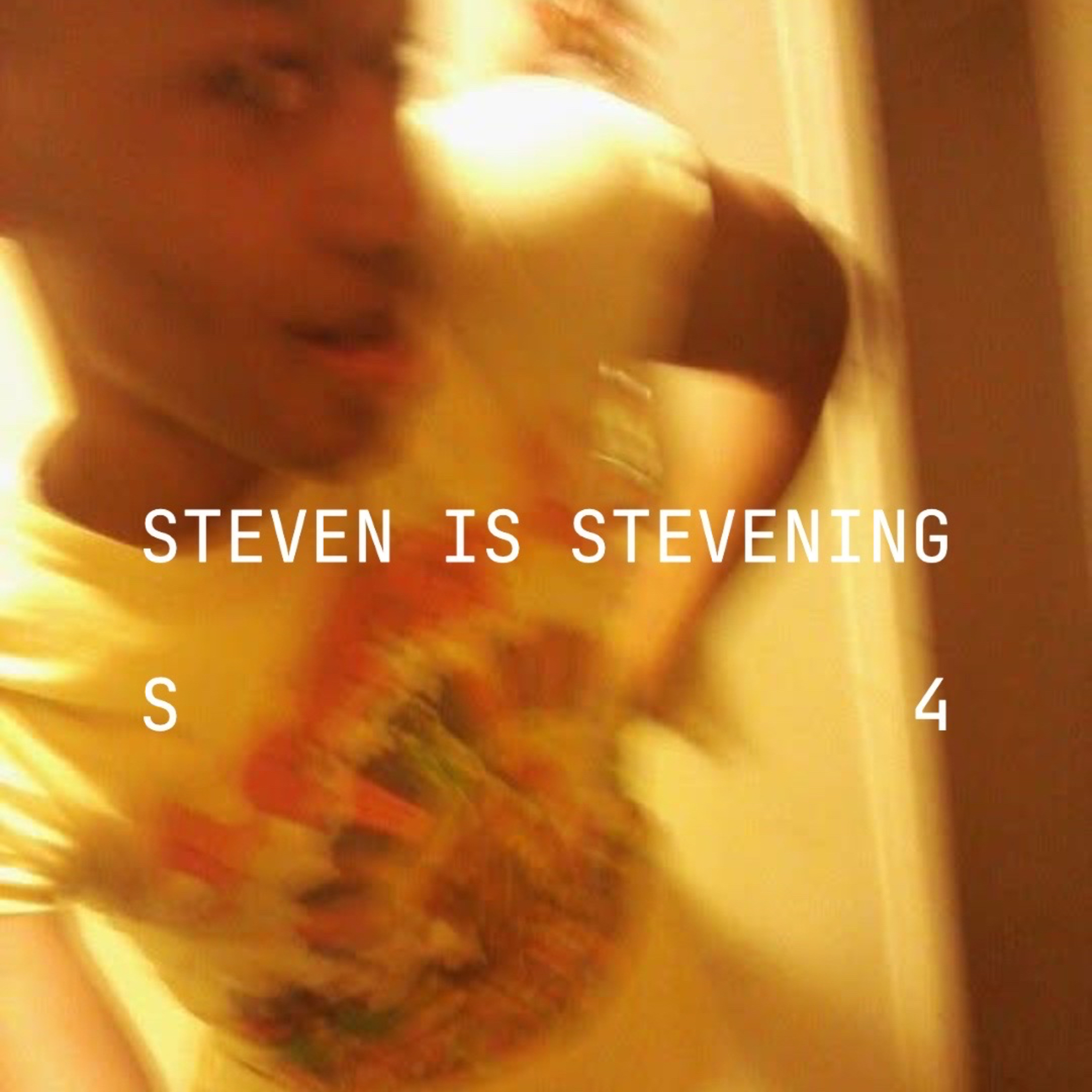 STEVEN IS STEVENING