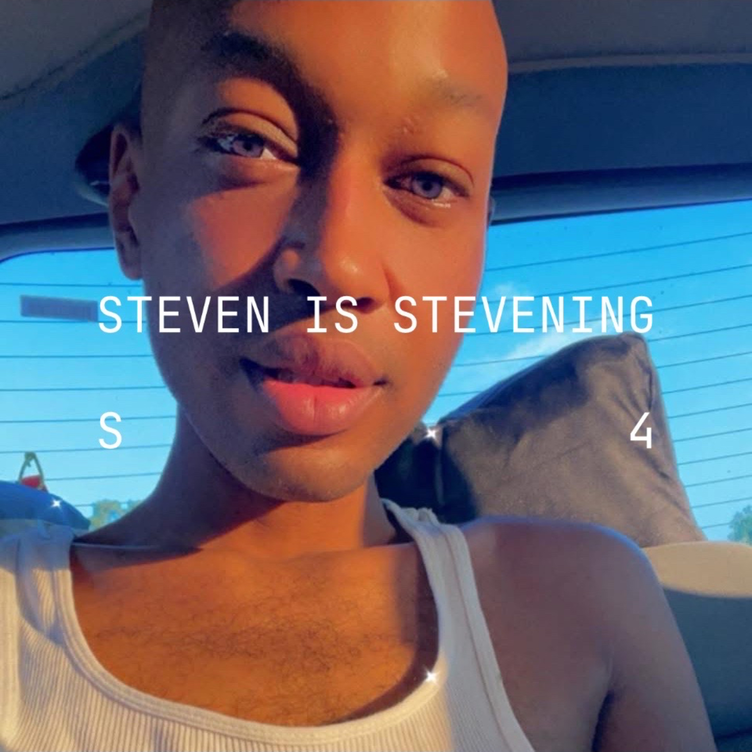 STEVEN IS STEVENING