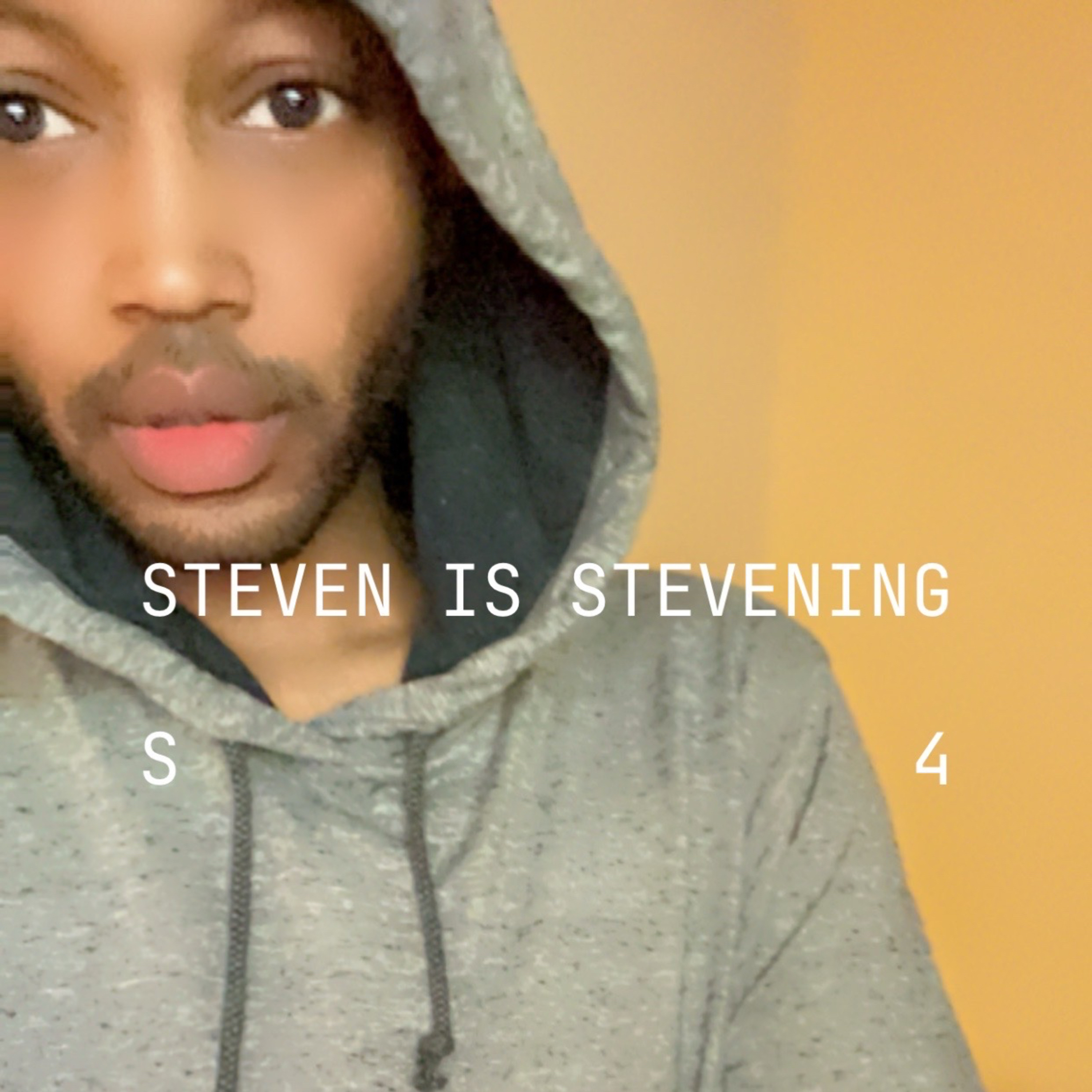 STEVEN IS STEVENING