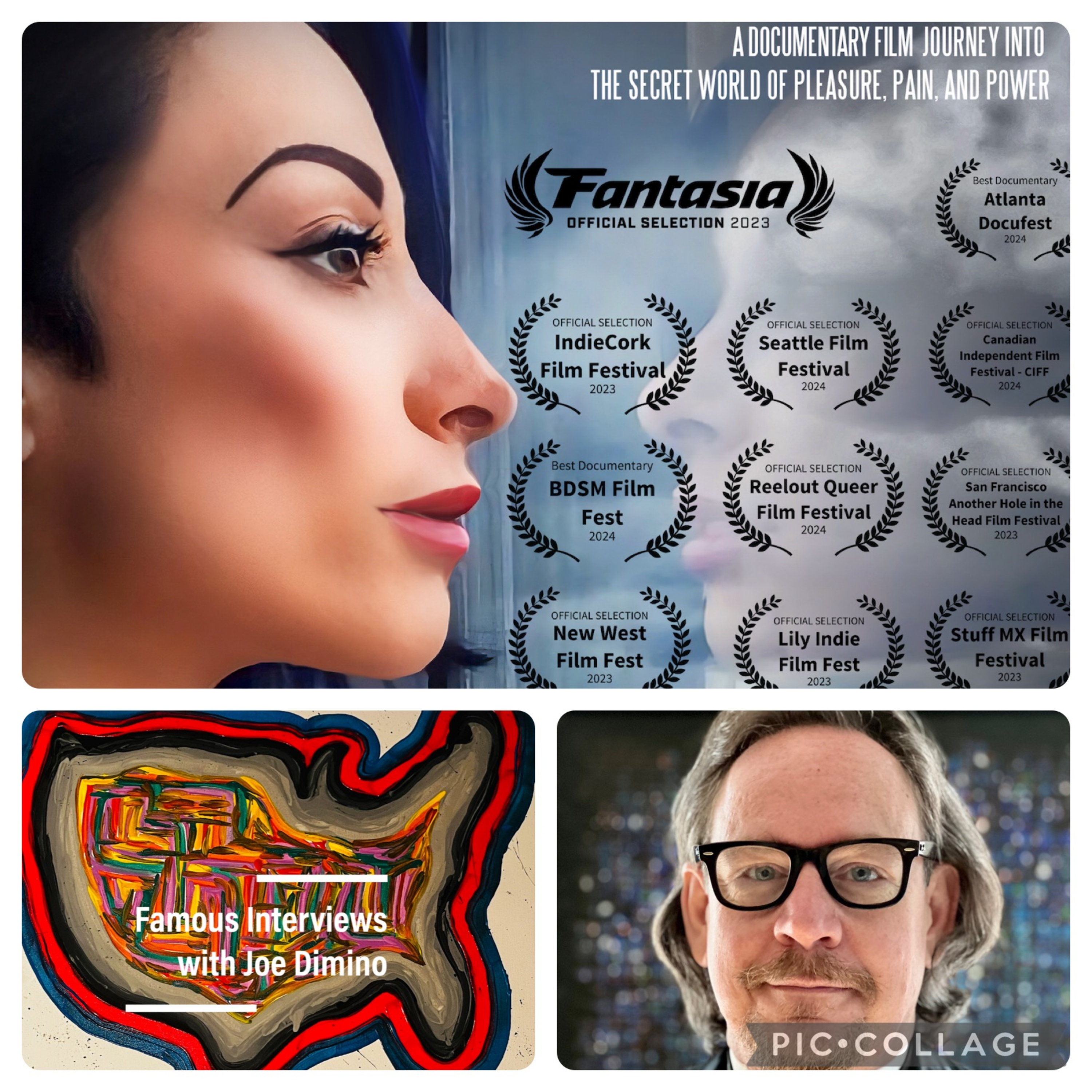 Famous Interviews with Joe Dimino
