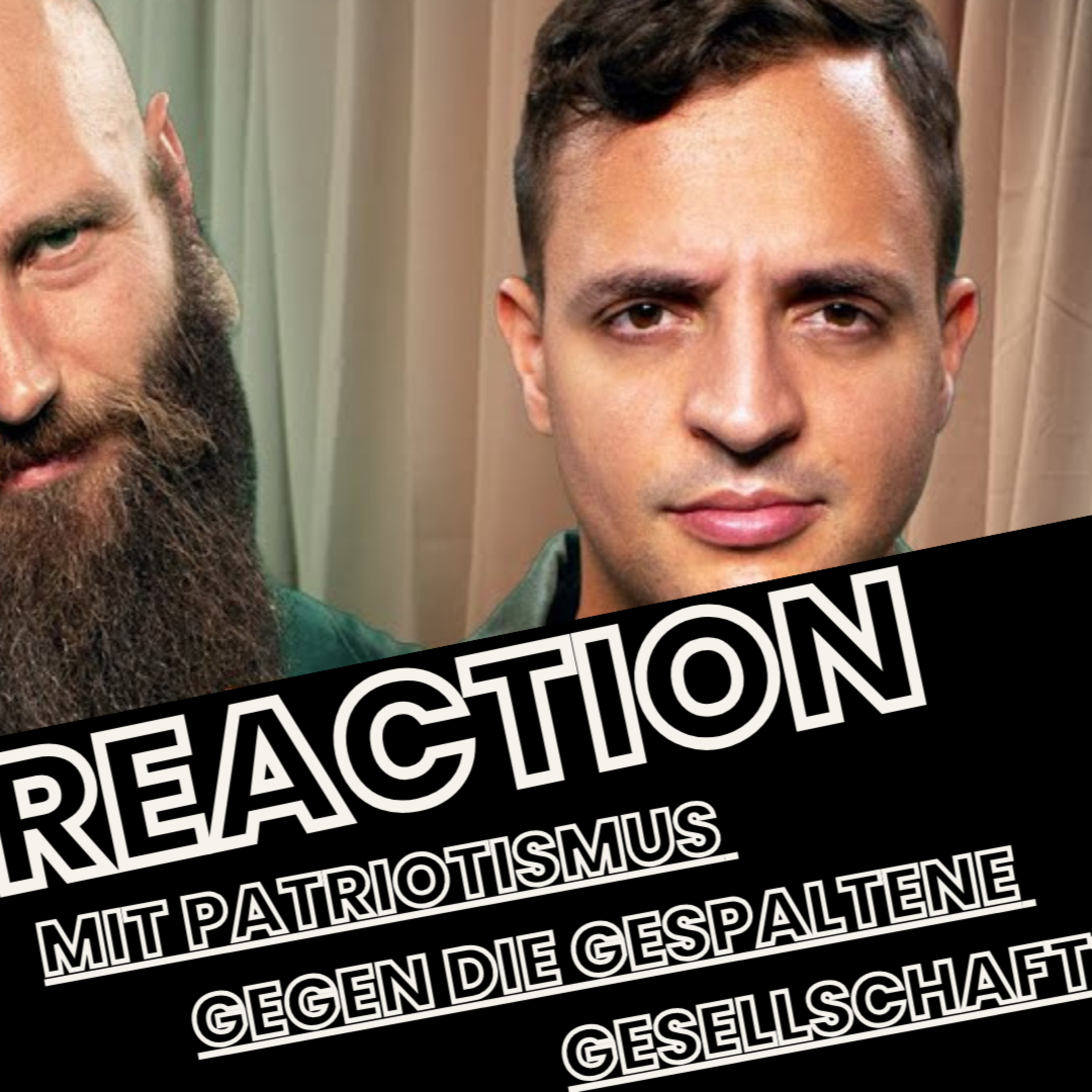 Reaction: Mit Patriotismus gegen die gespaltene Gesellschaft? episode artwork