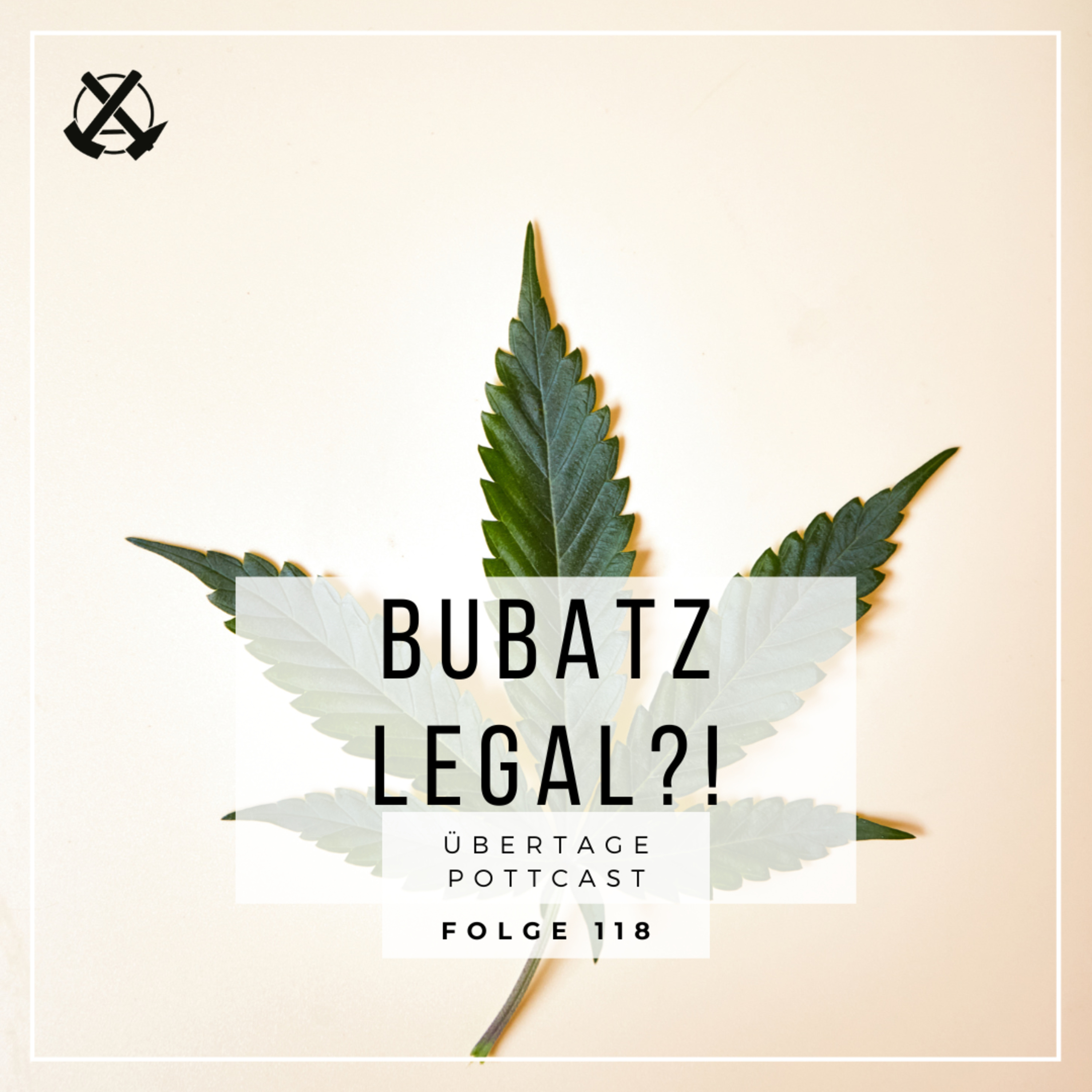 Folge 118: Bubatz legal?! mit Fabian Steinmetz episode artwork