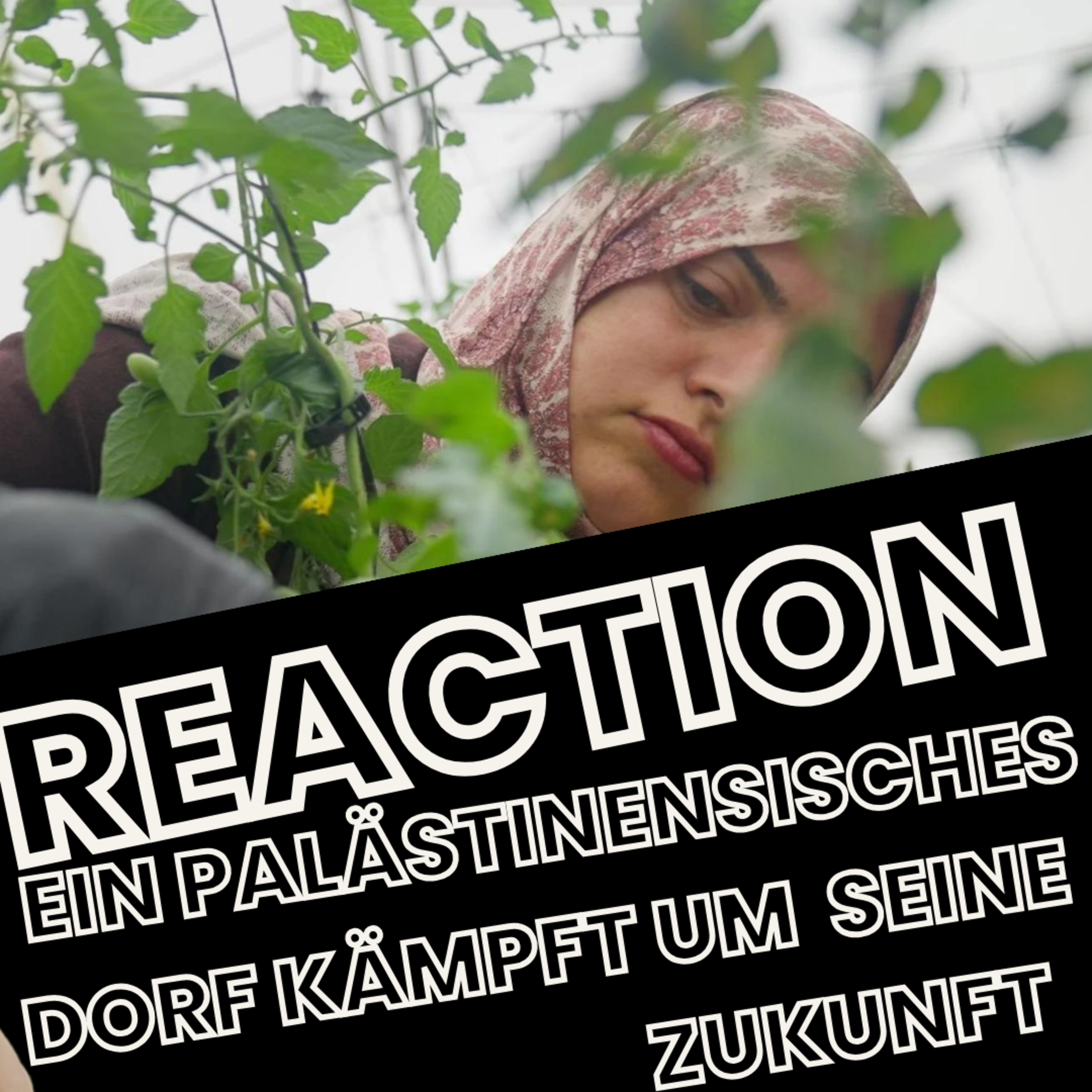 Reaction: Ein palästinensisches Dorf kämpft um seine Zukunft episode artwork
