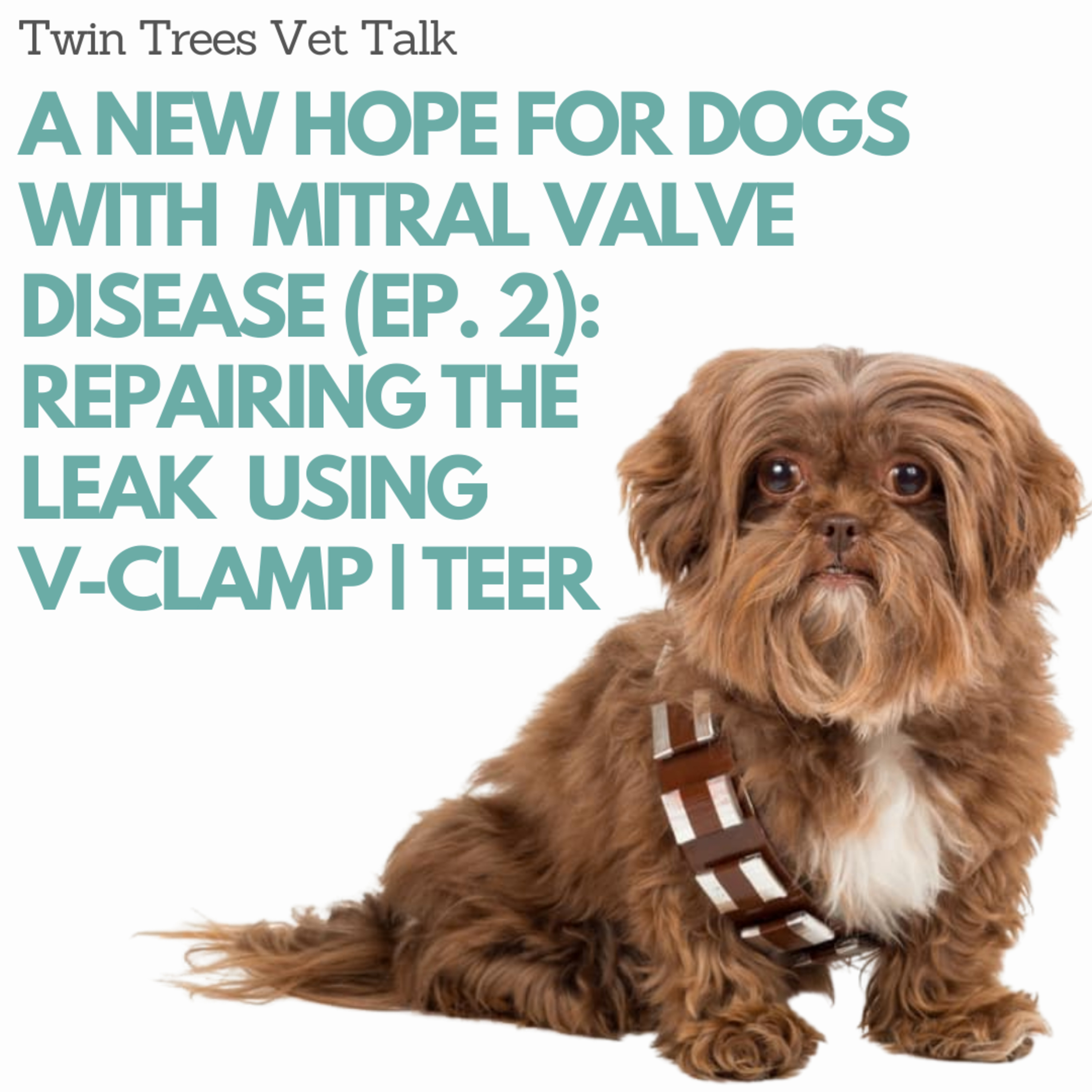 Twin Trees Vet Talk│Free Vet Advice Podcast
