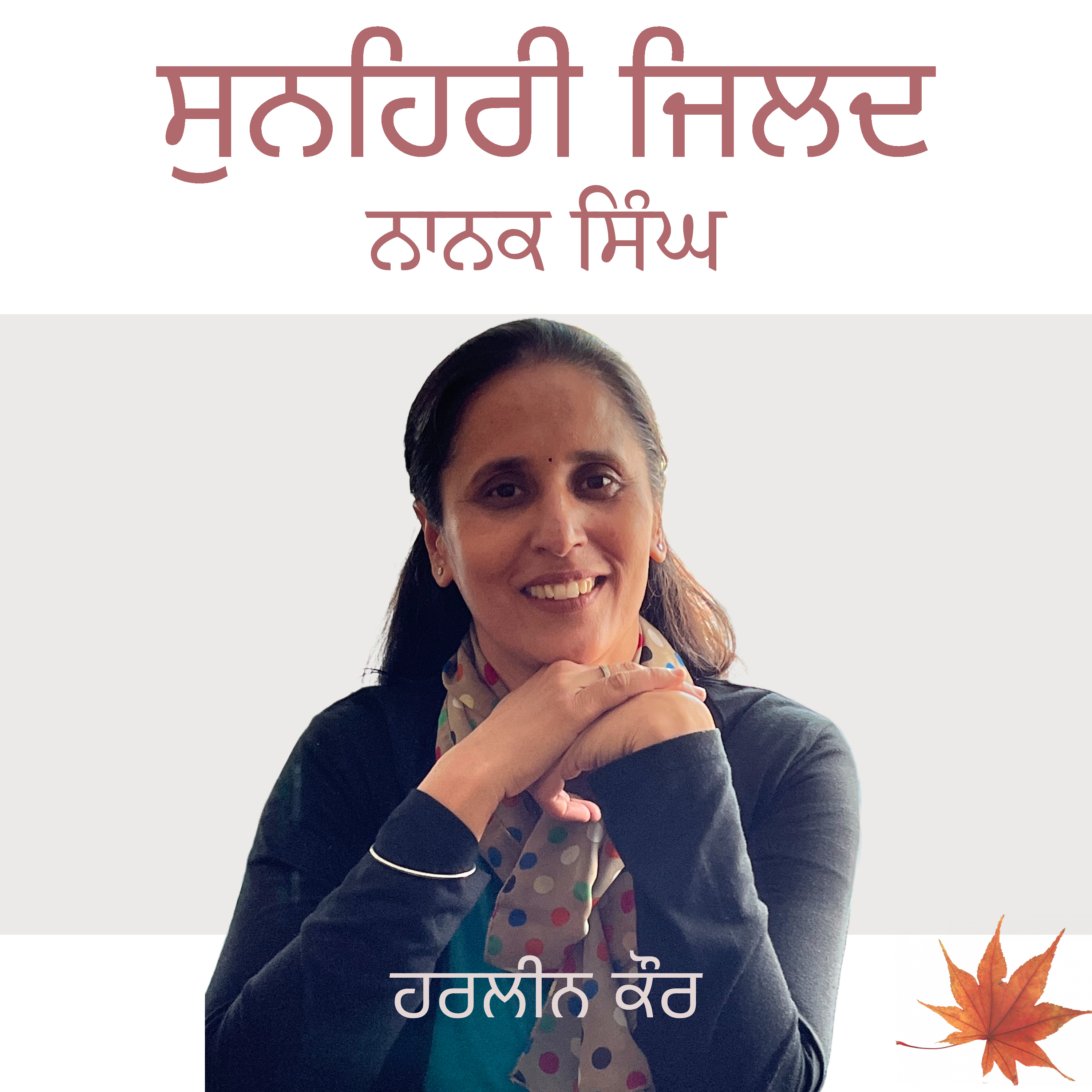 Punjabi Audiobooks By Harleen Tutorials