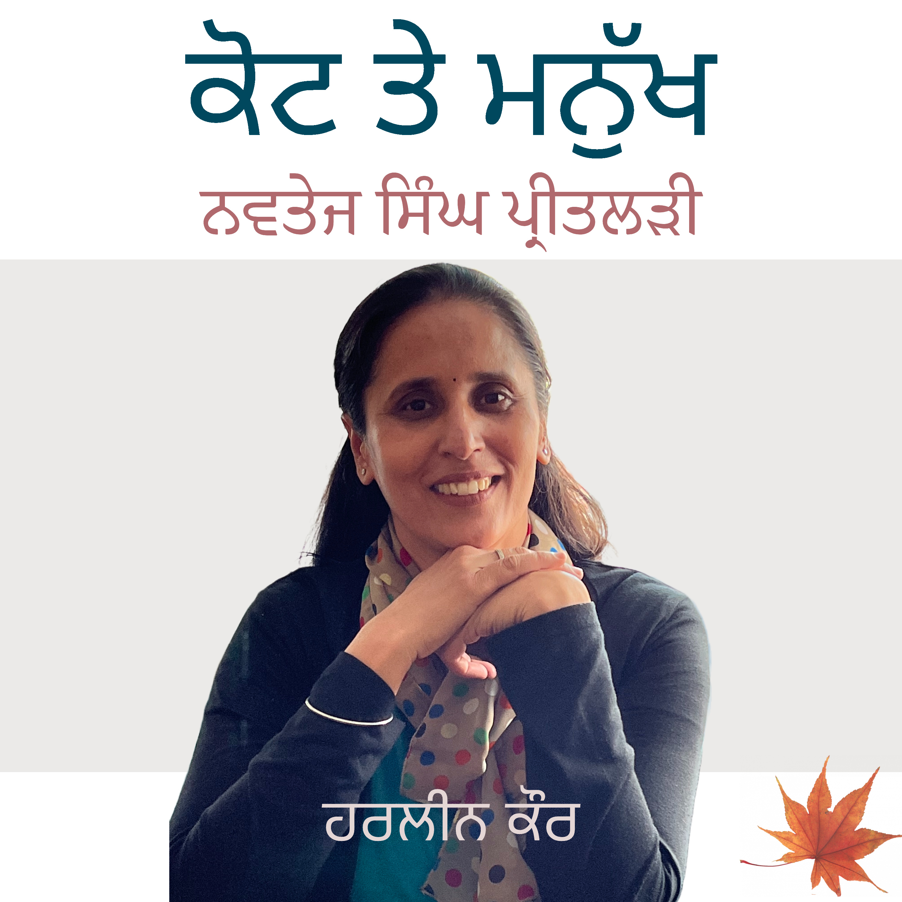 Punjabi Audiobooks By Harleen Tutorials