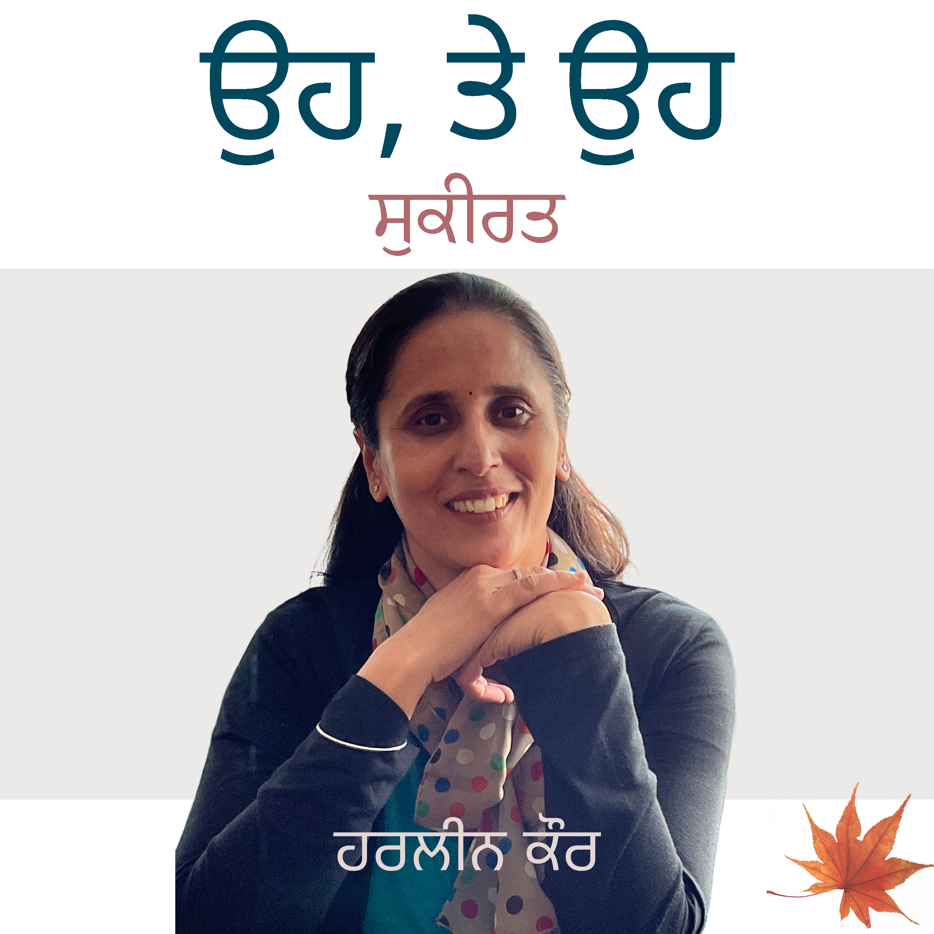 Punjabi Audiobooks By Harleen Tutorials