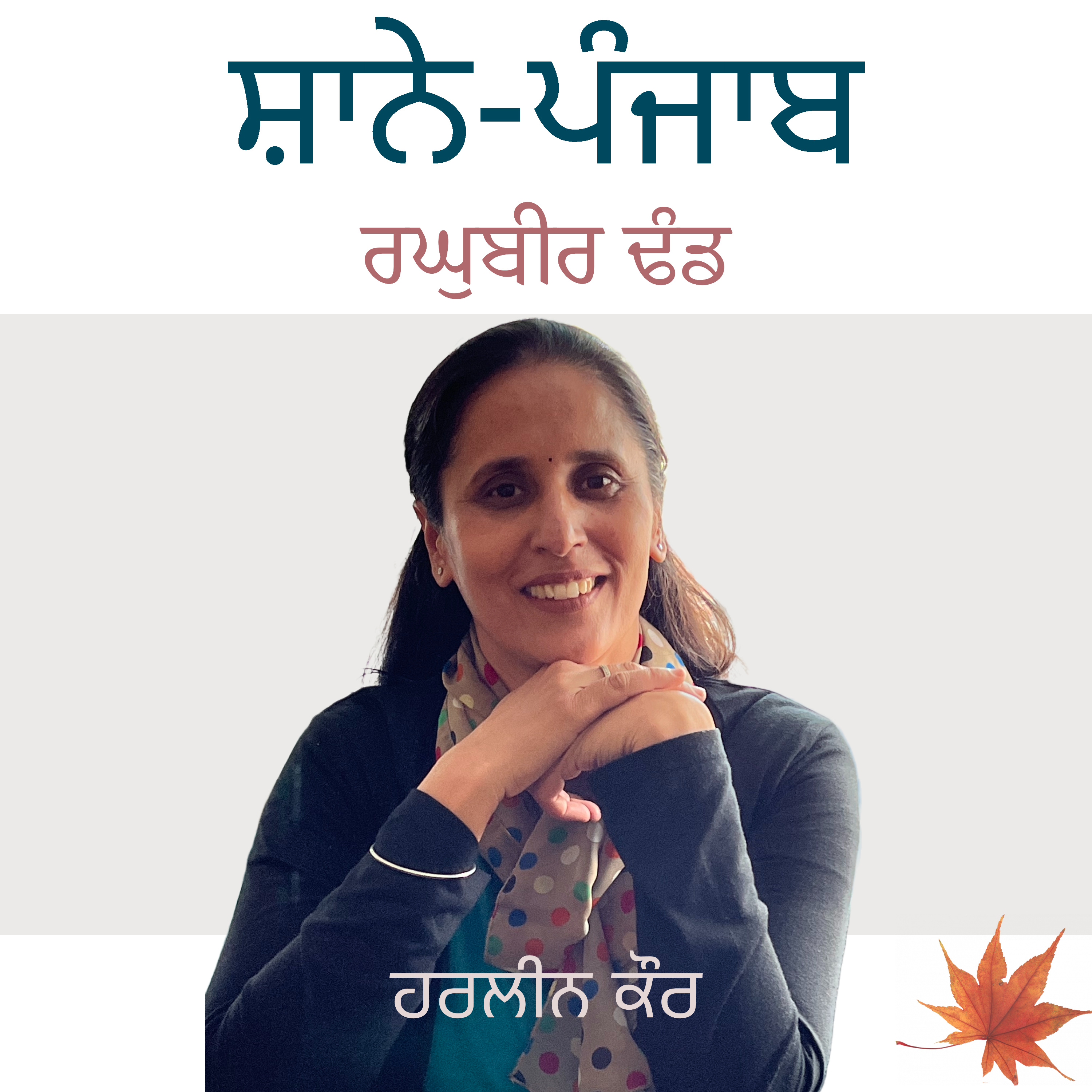 Punjabi Audiobooks By Harleen Tutorials