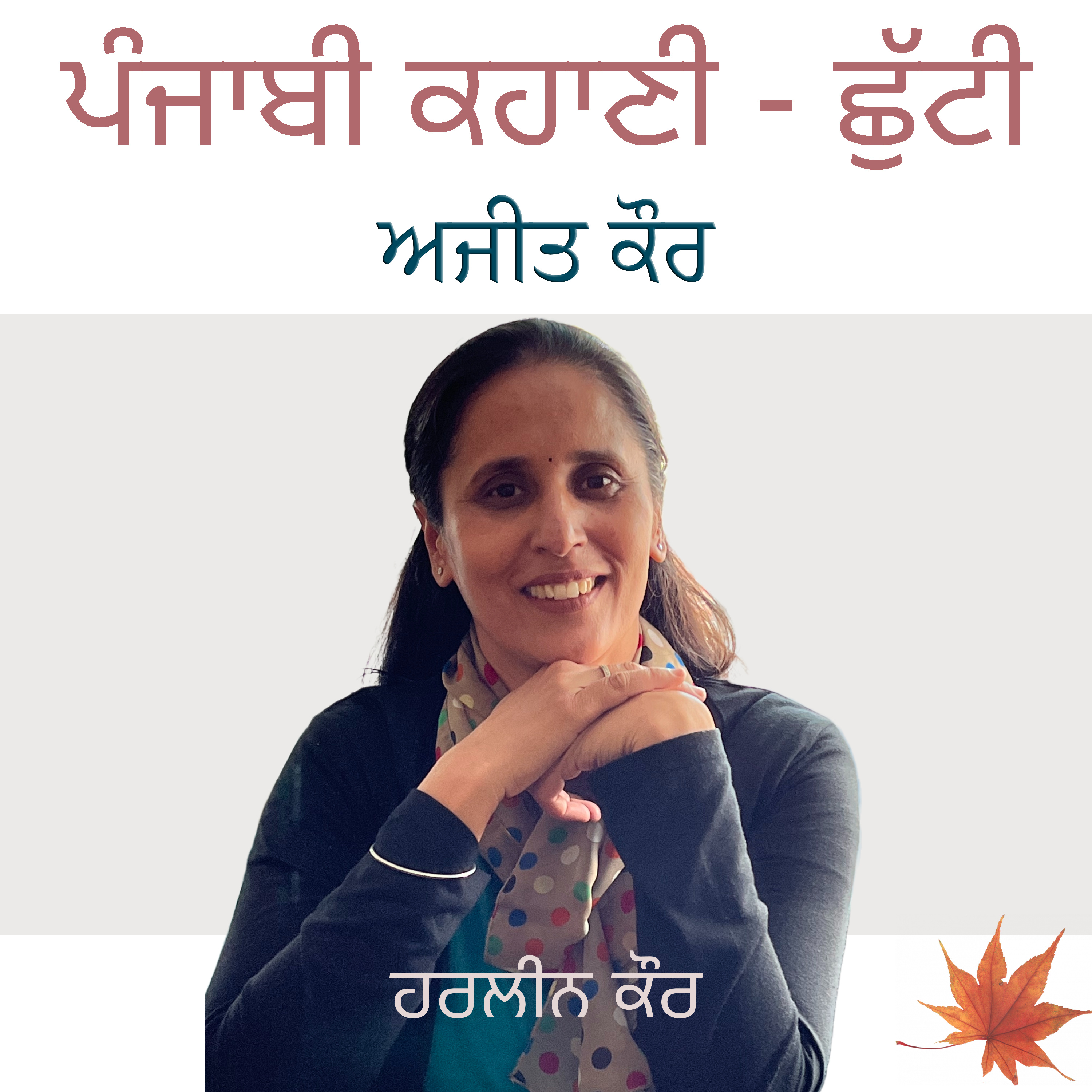 Punjabi Audiobooks By Harleen Tutorials