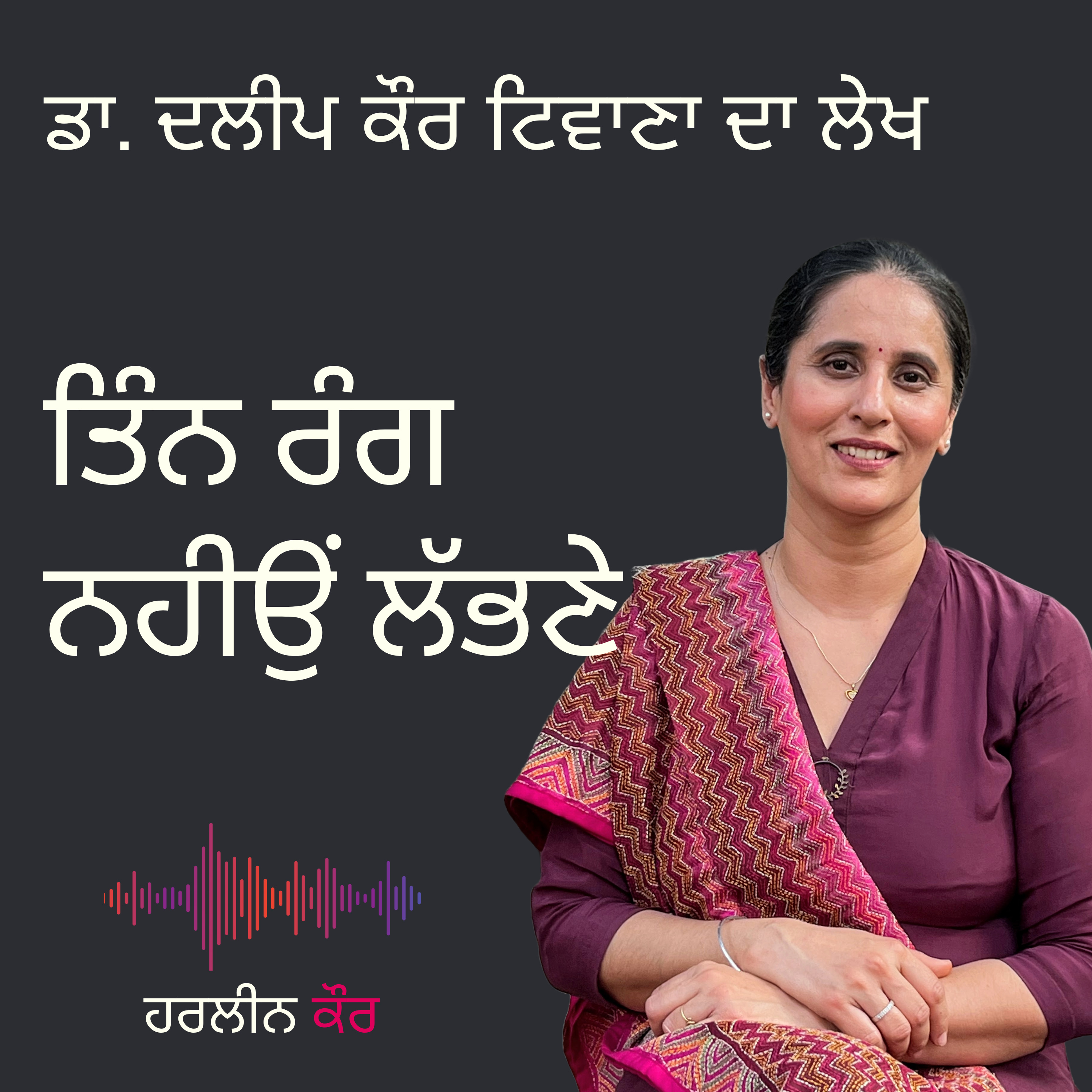 Punjabi Audiobooks By Harleen Tutorials
