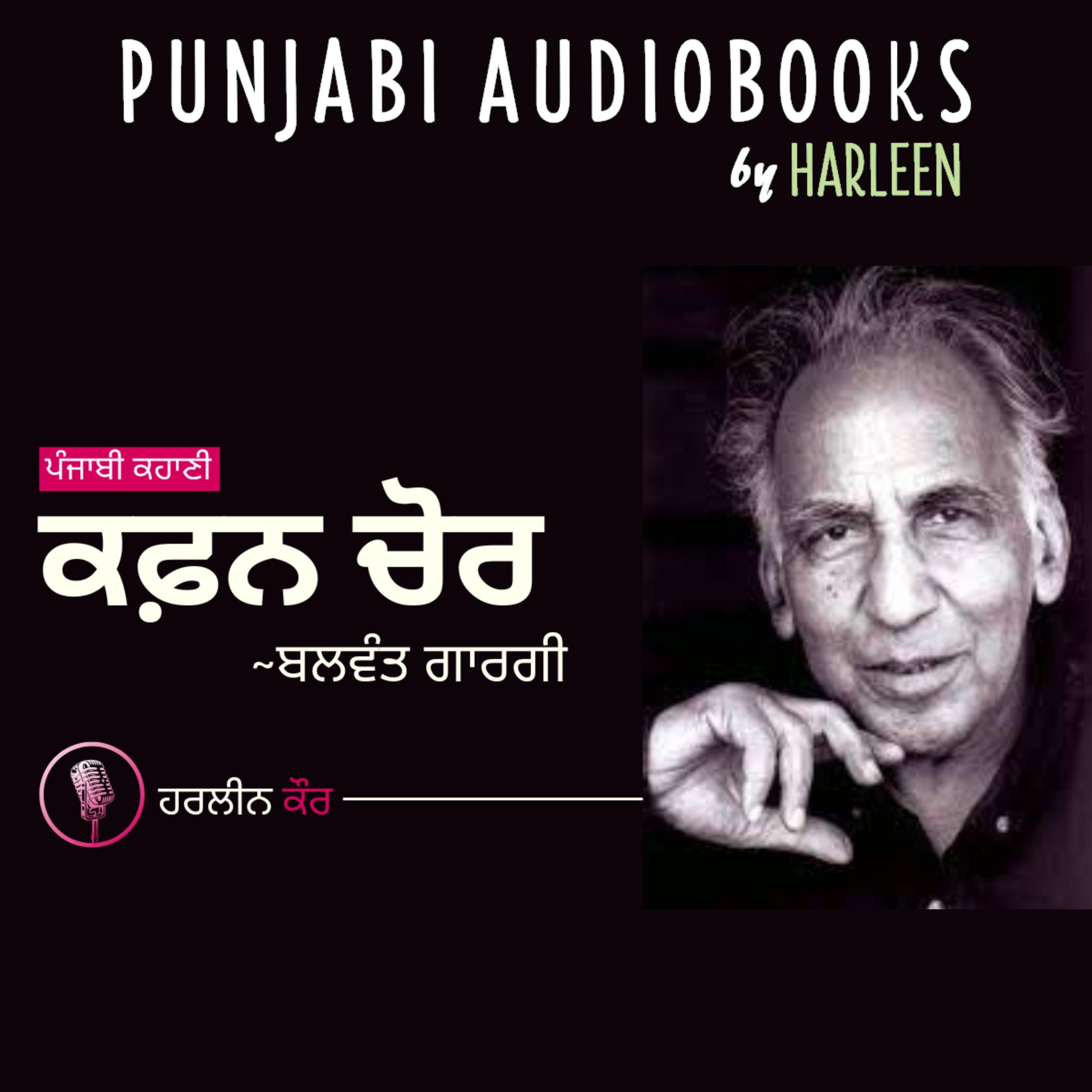Punjabi Audiobooks By Harleen Tutorials
