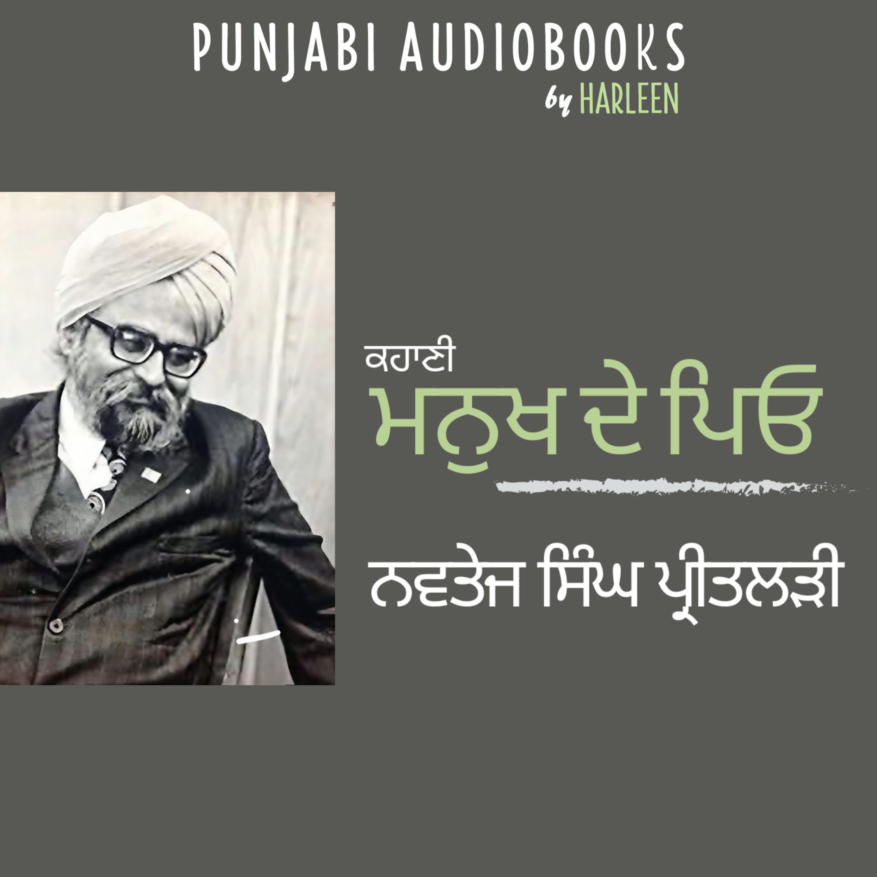 Punjabi Audiobooks By Harleen Tutorials