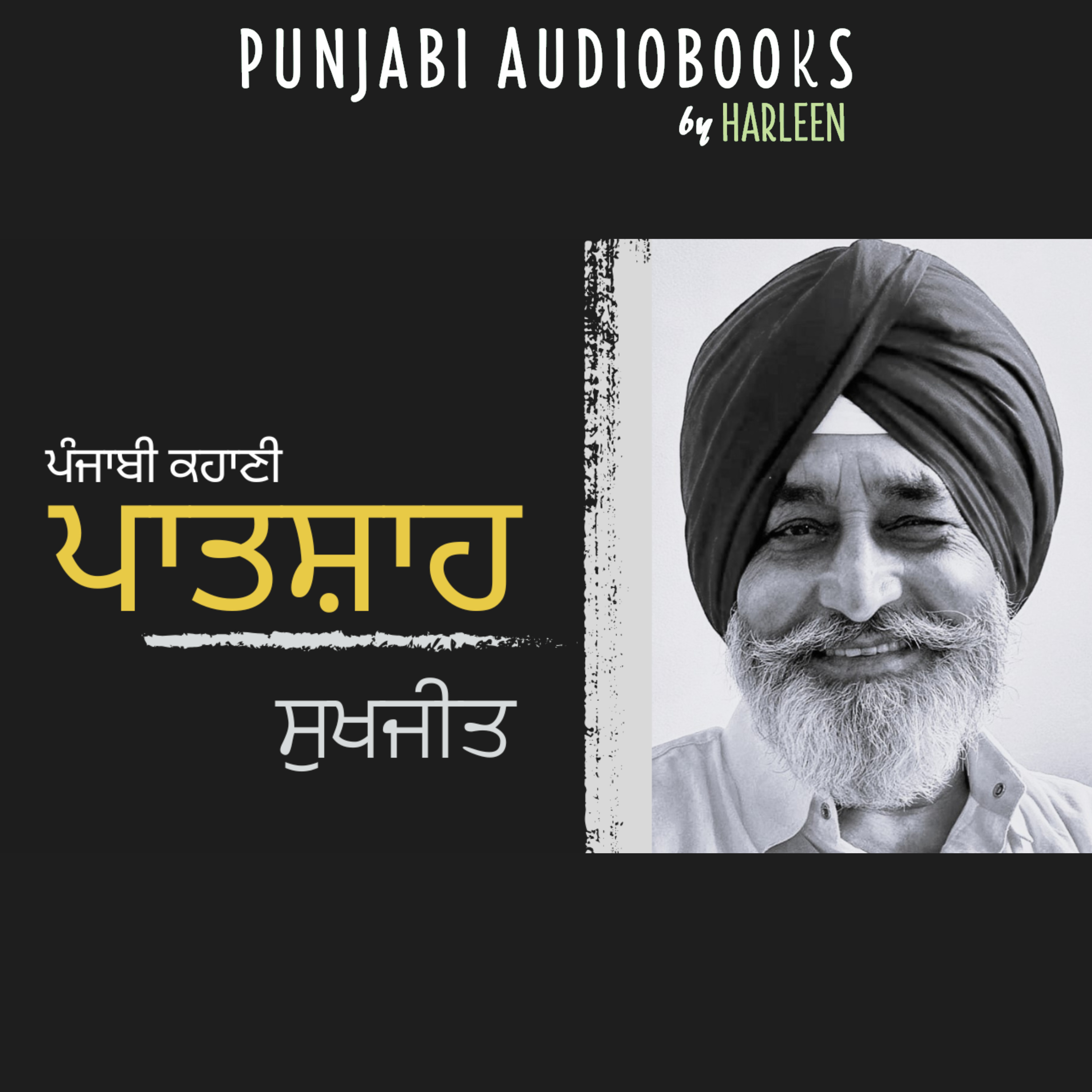 Punjabi Audiobooks By Harleen Tutorials