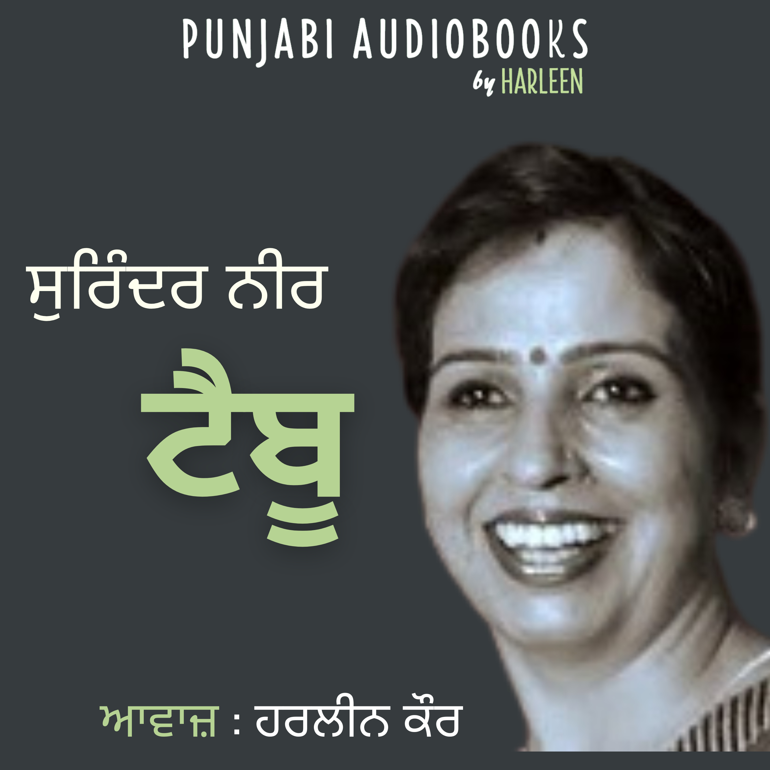 Punjabi Audiobooks By Harleen Tutorials