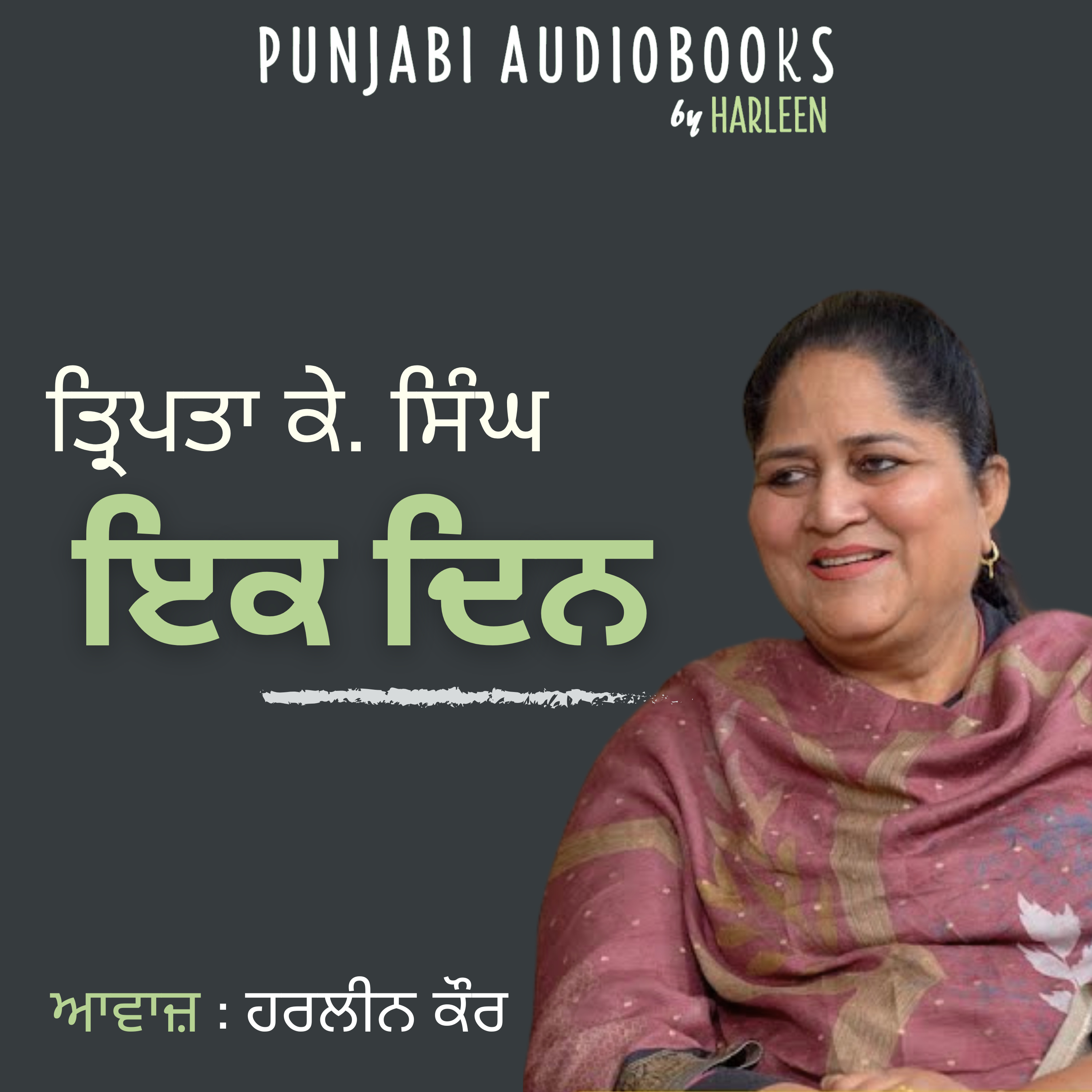 Punjabi Audiobooks By Harleen Tutorials