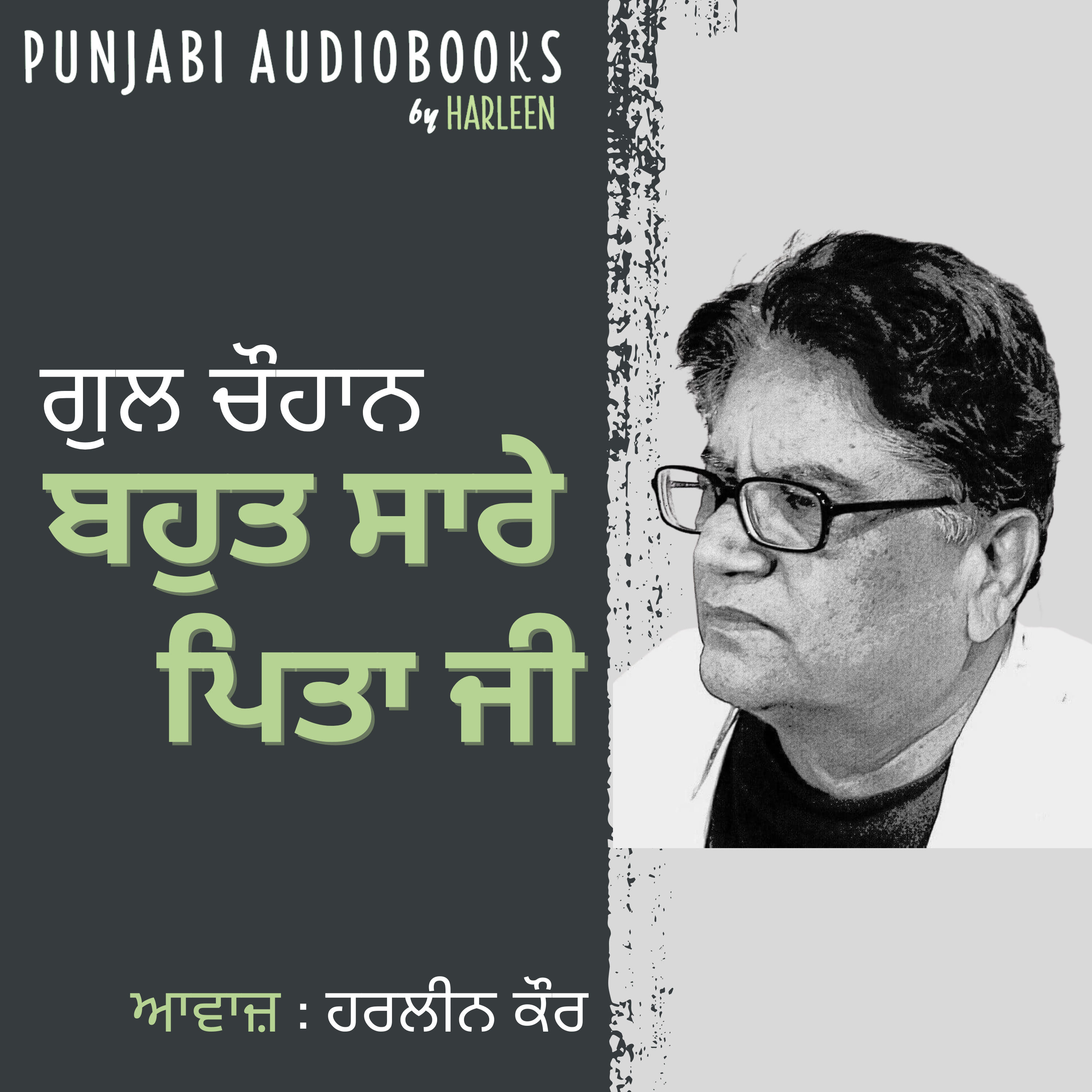 Punjabi Audiobooks By Harleen Tutorials