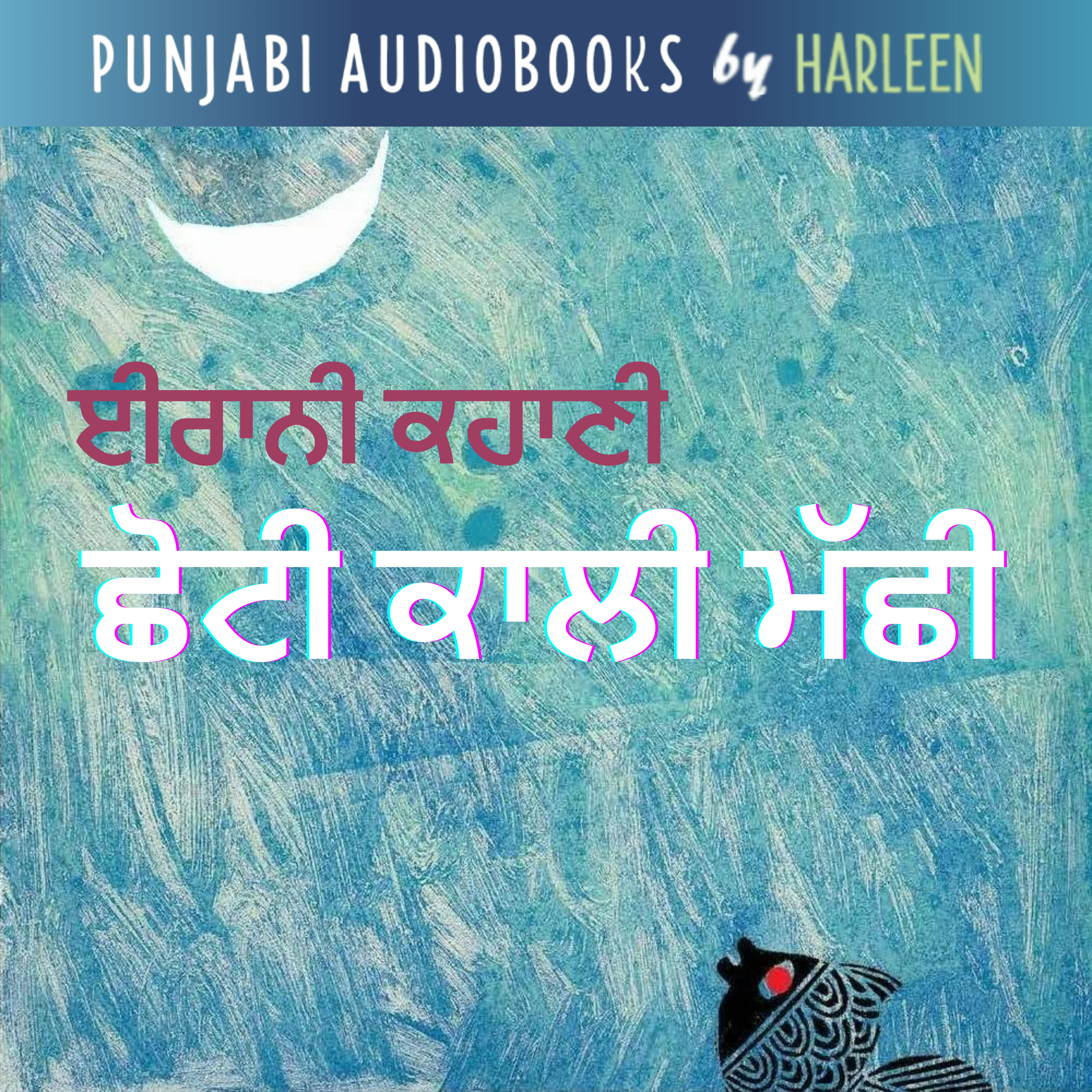 Punjabi Audiobooks By Harleen Tutorials