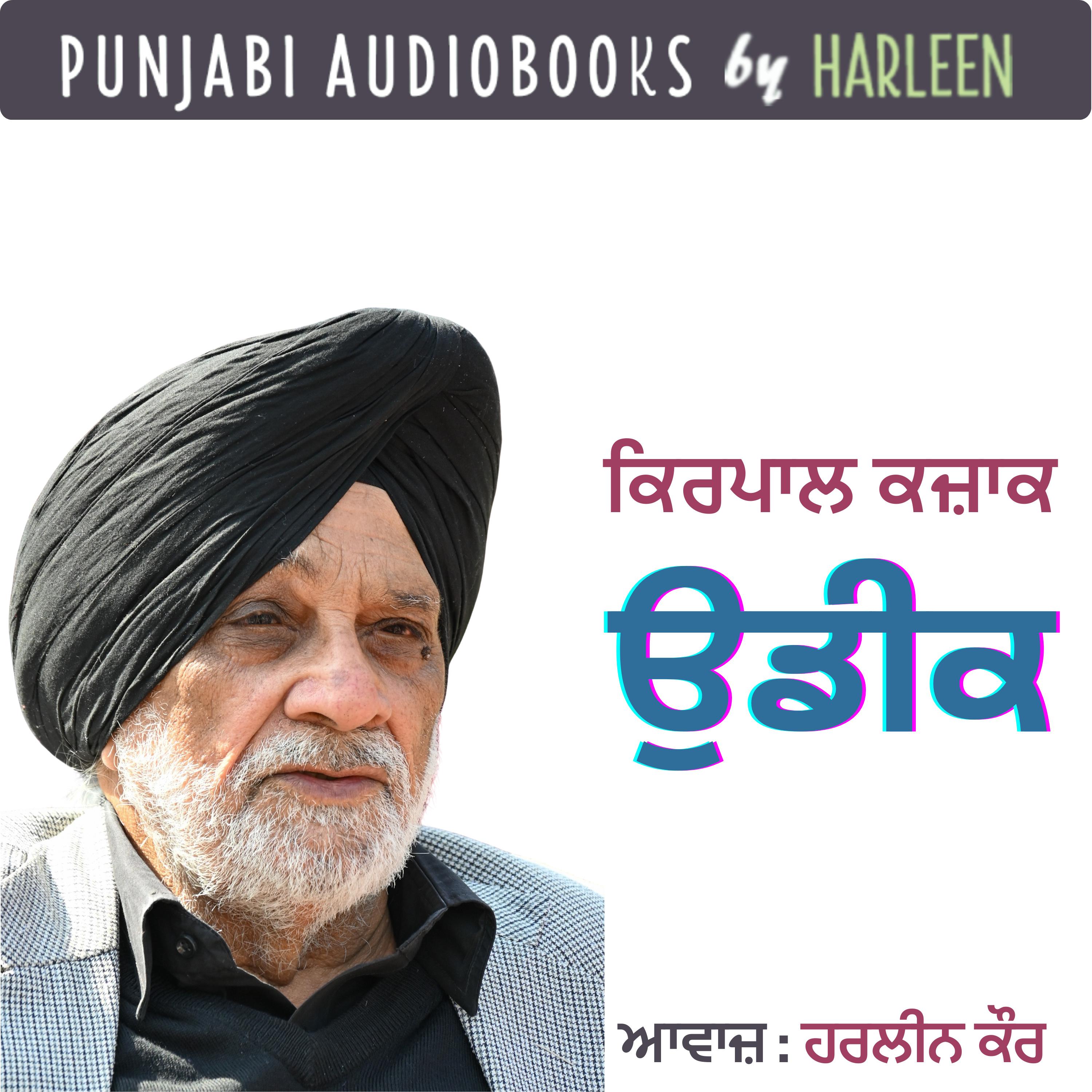 Punjabi Audiobooks By Harleen Tutorials