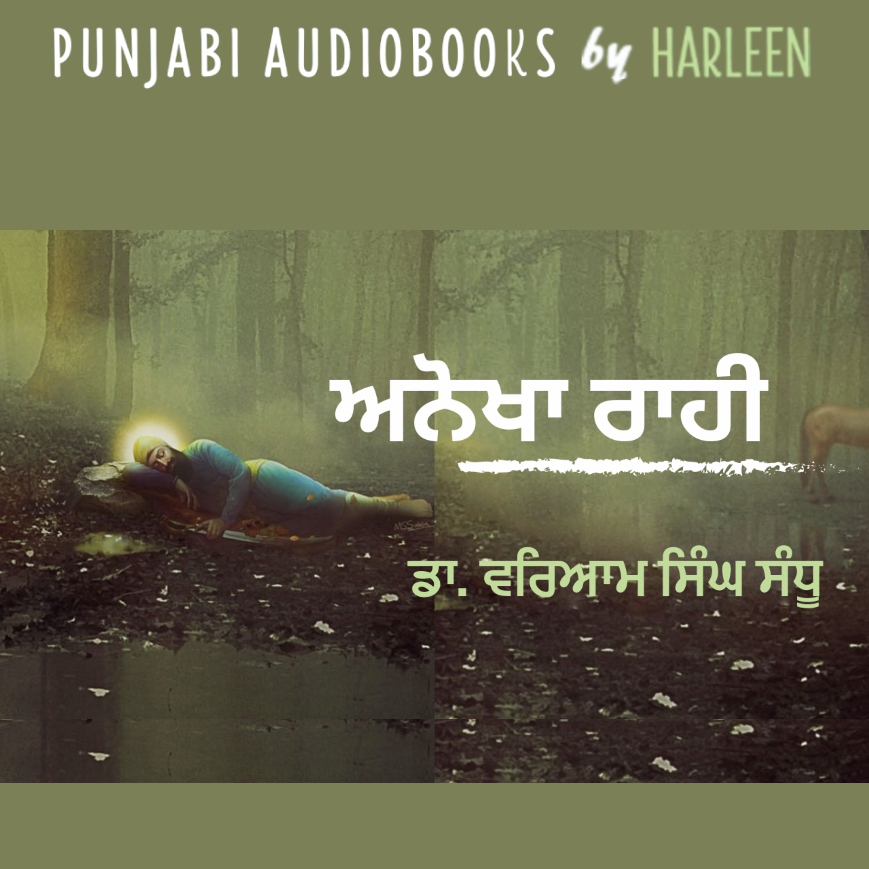 Punjabi Audiobooks By Harleen Tutorials