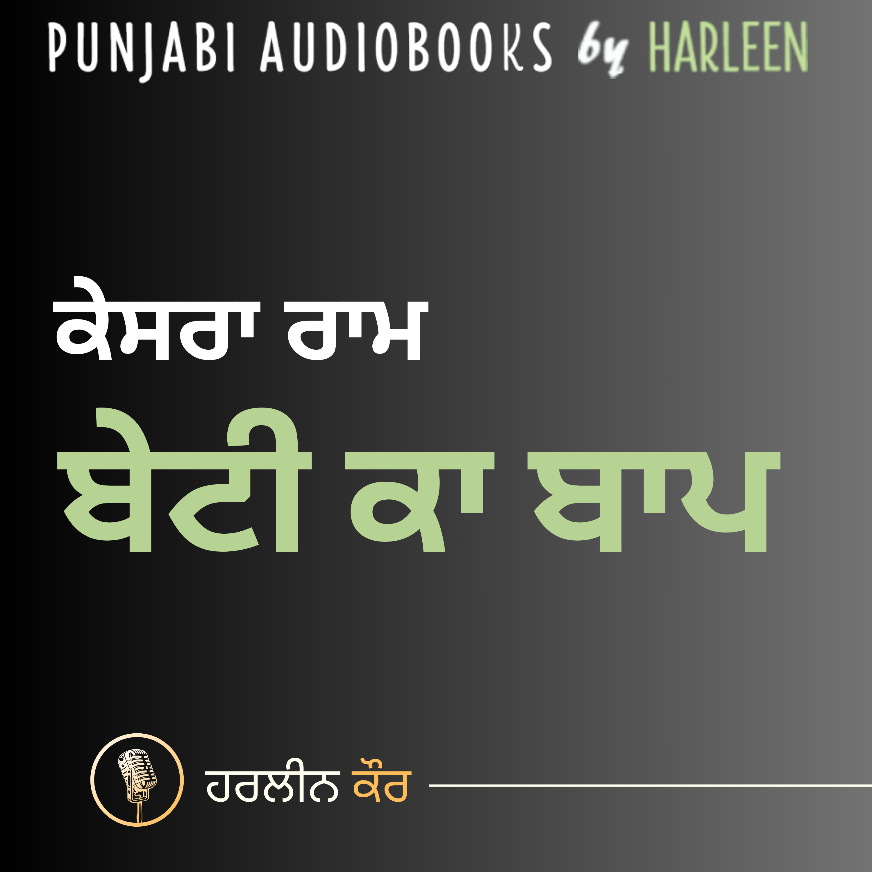 Punjabi Audiobooks By Harleen Tutorials