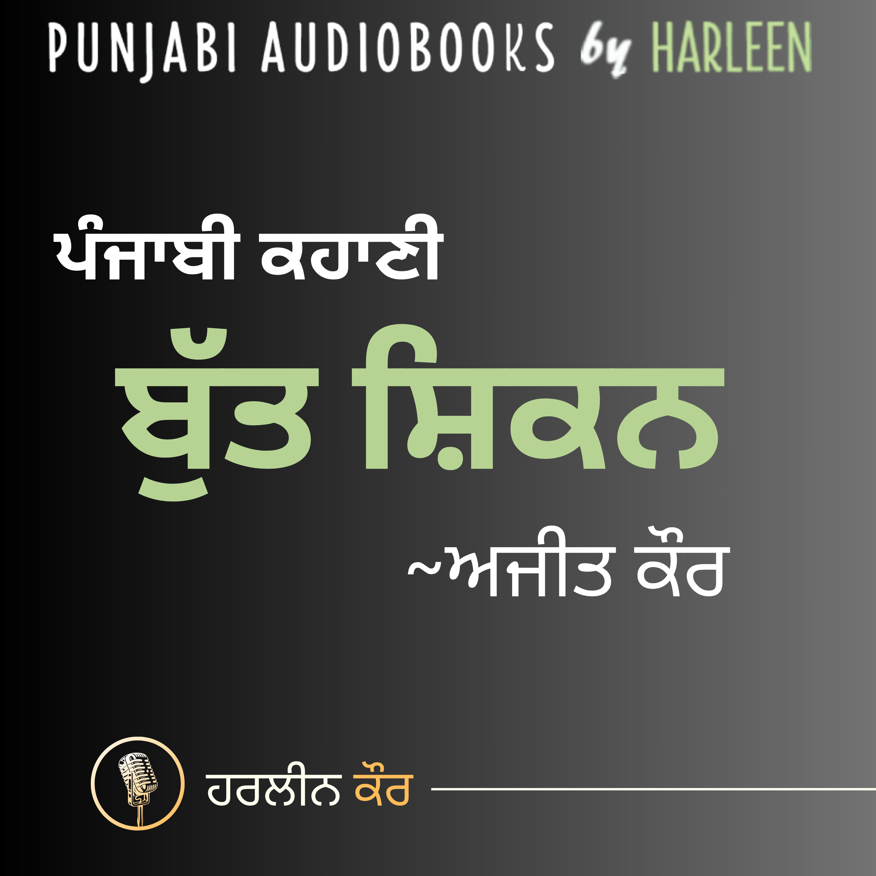 Punjabi Audiobooks By Harleen Tutorials