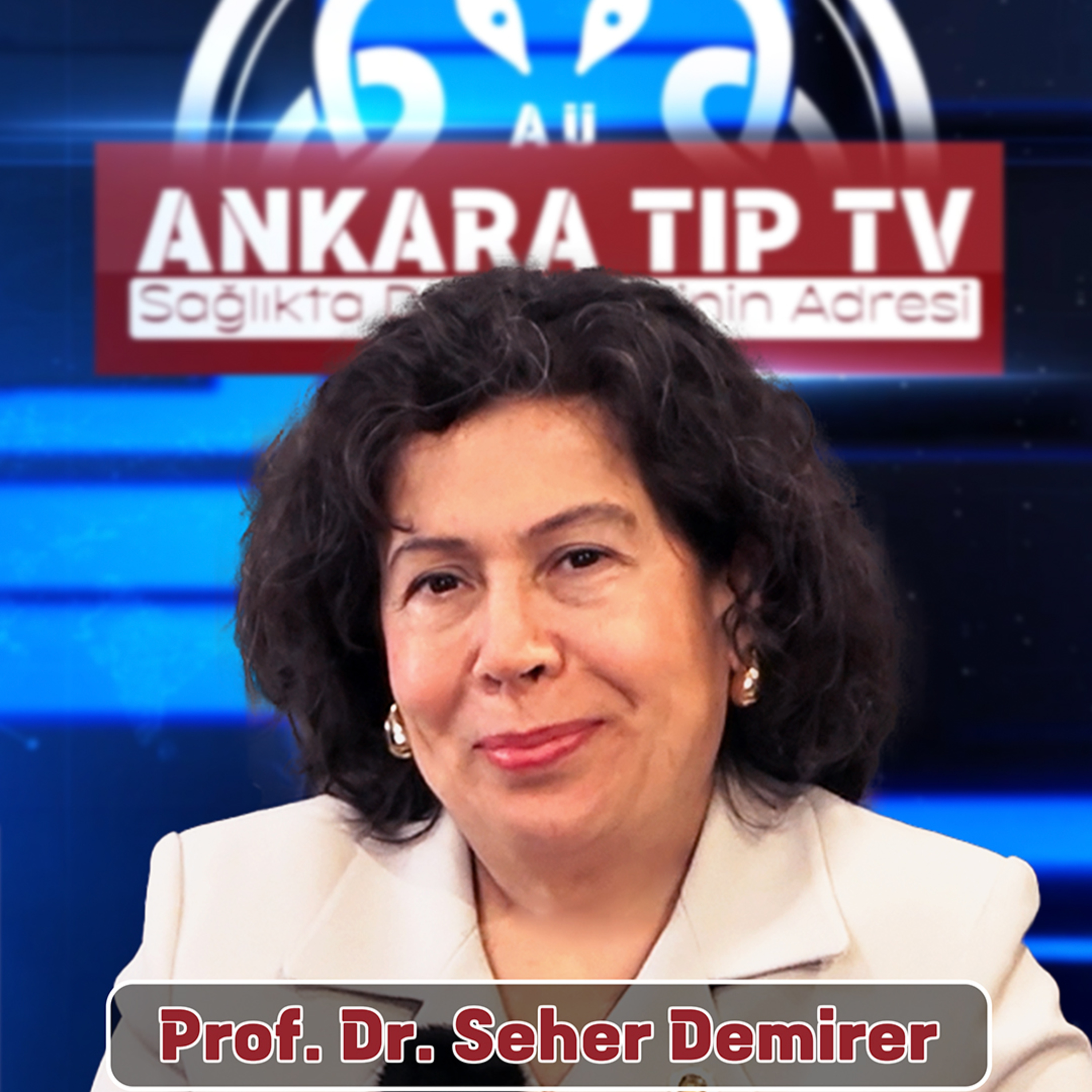 Meme Kanseri - Prof. Dr. Seher Demirer