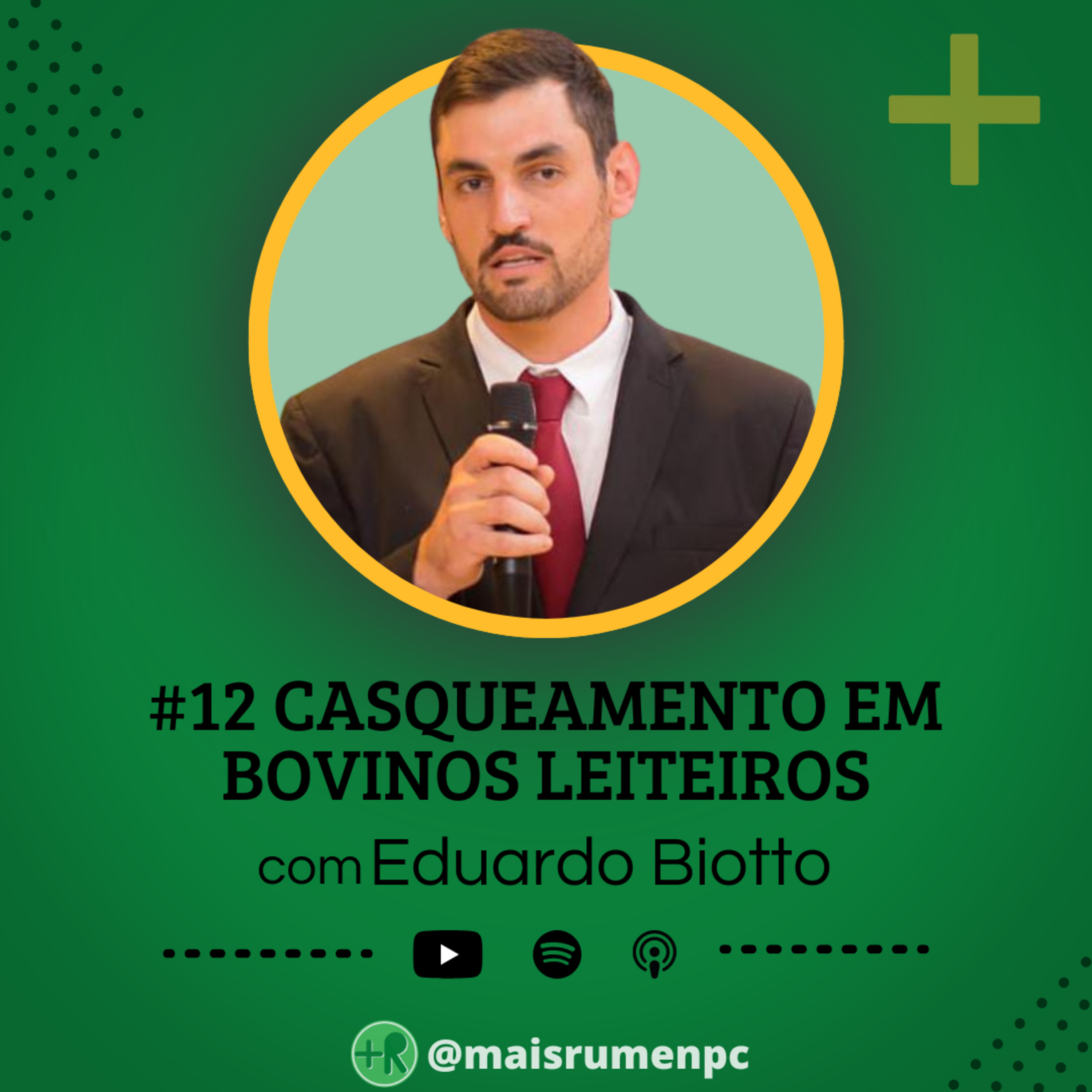 Mais Rúmen Podcast · by PPGVET