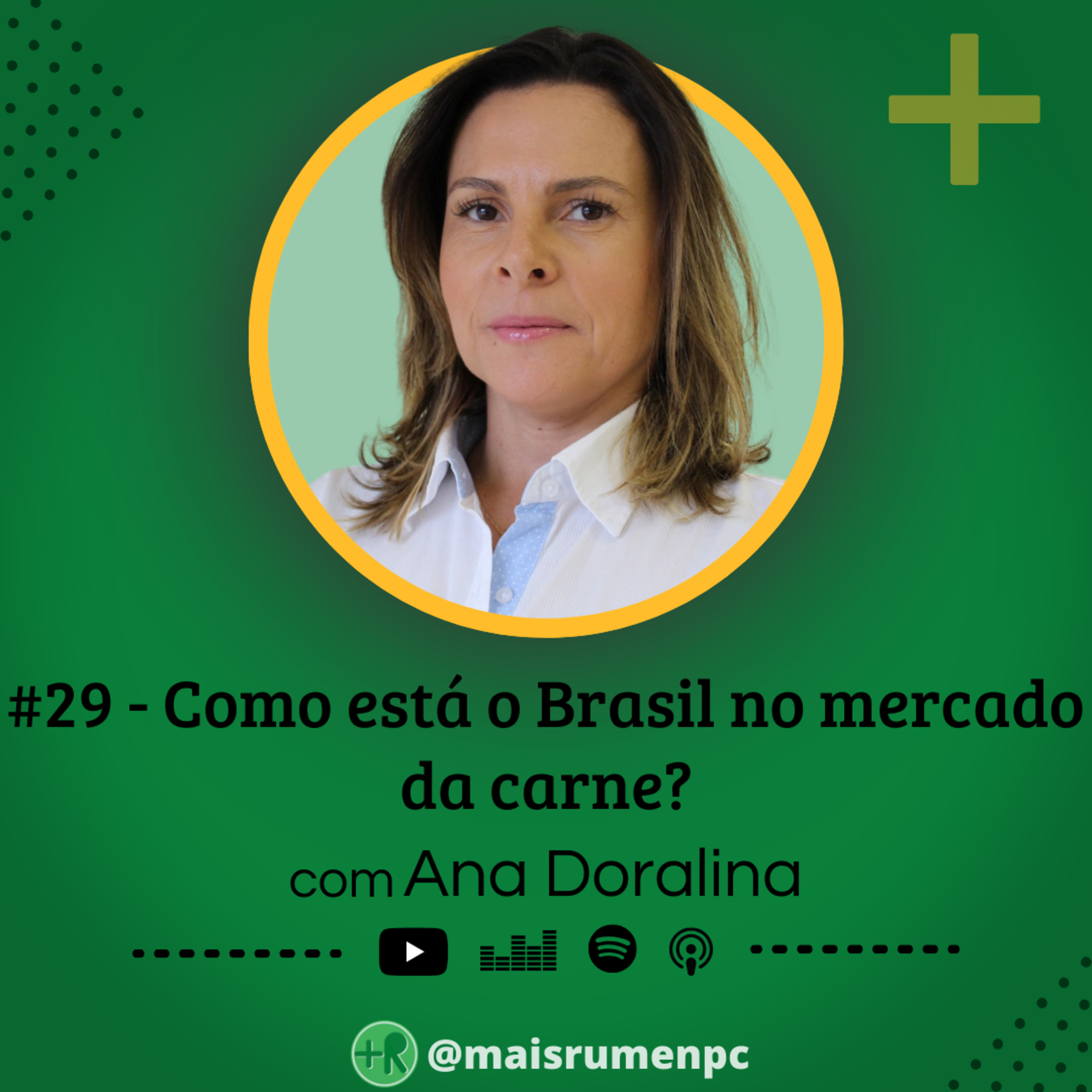 Mais Rúmen Podcast · by PPGVET