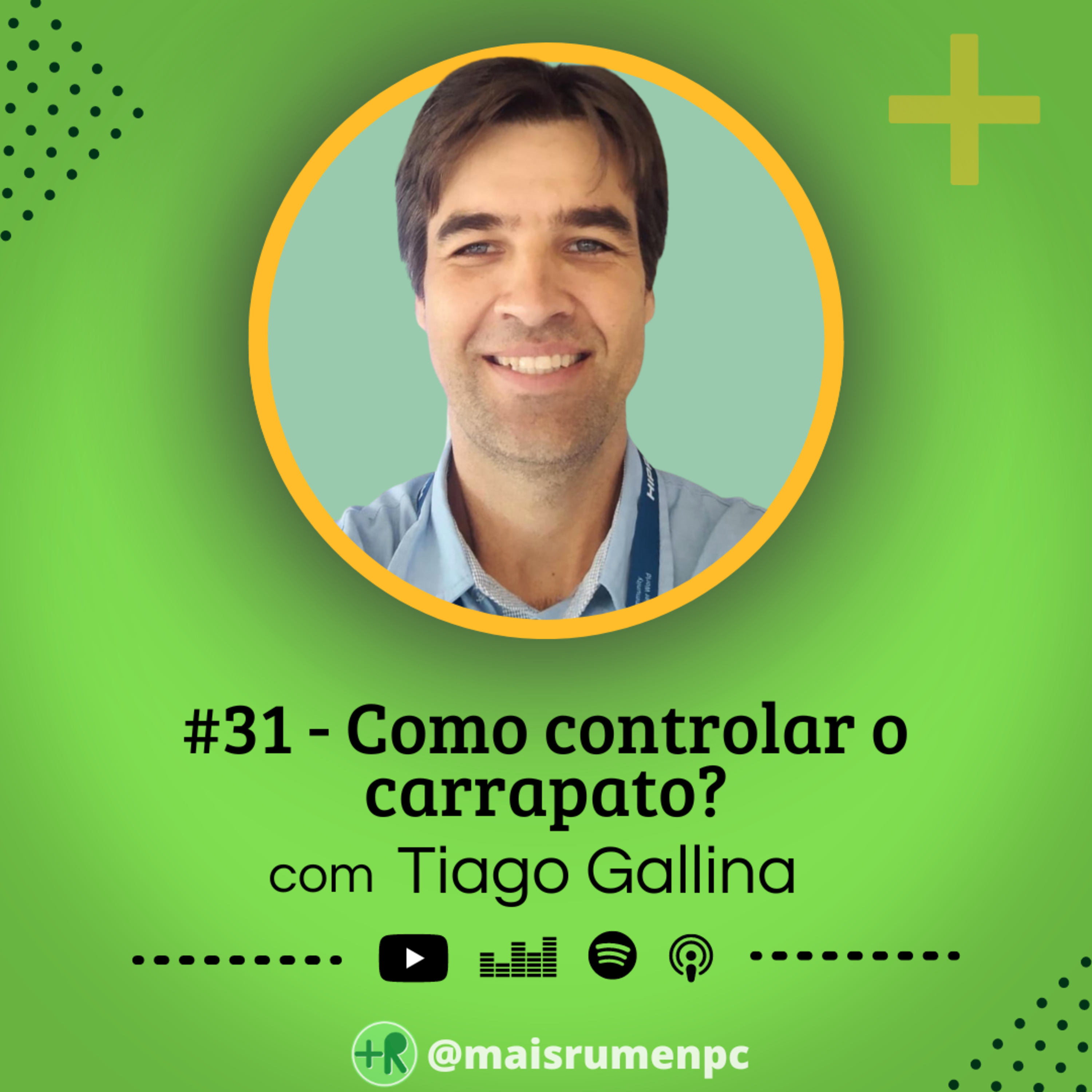 Mais Rúmen Podcast · by PPGVET