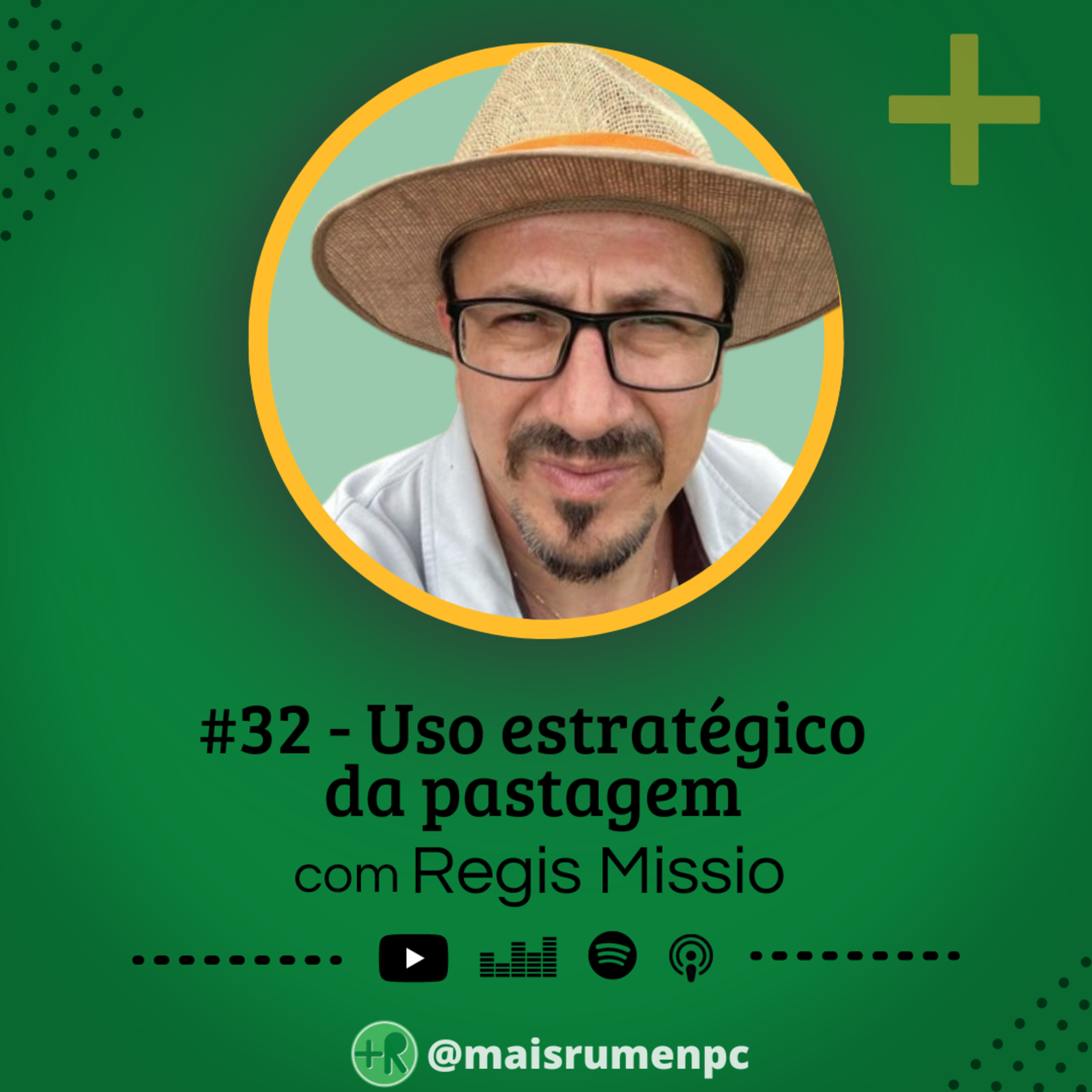 Mais Rúmen Podcast · by PPGVET