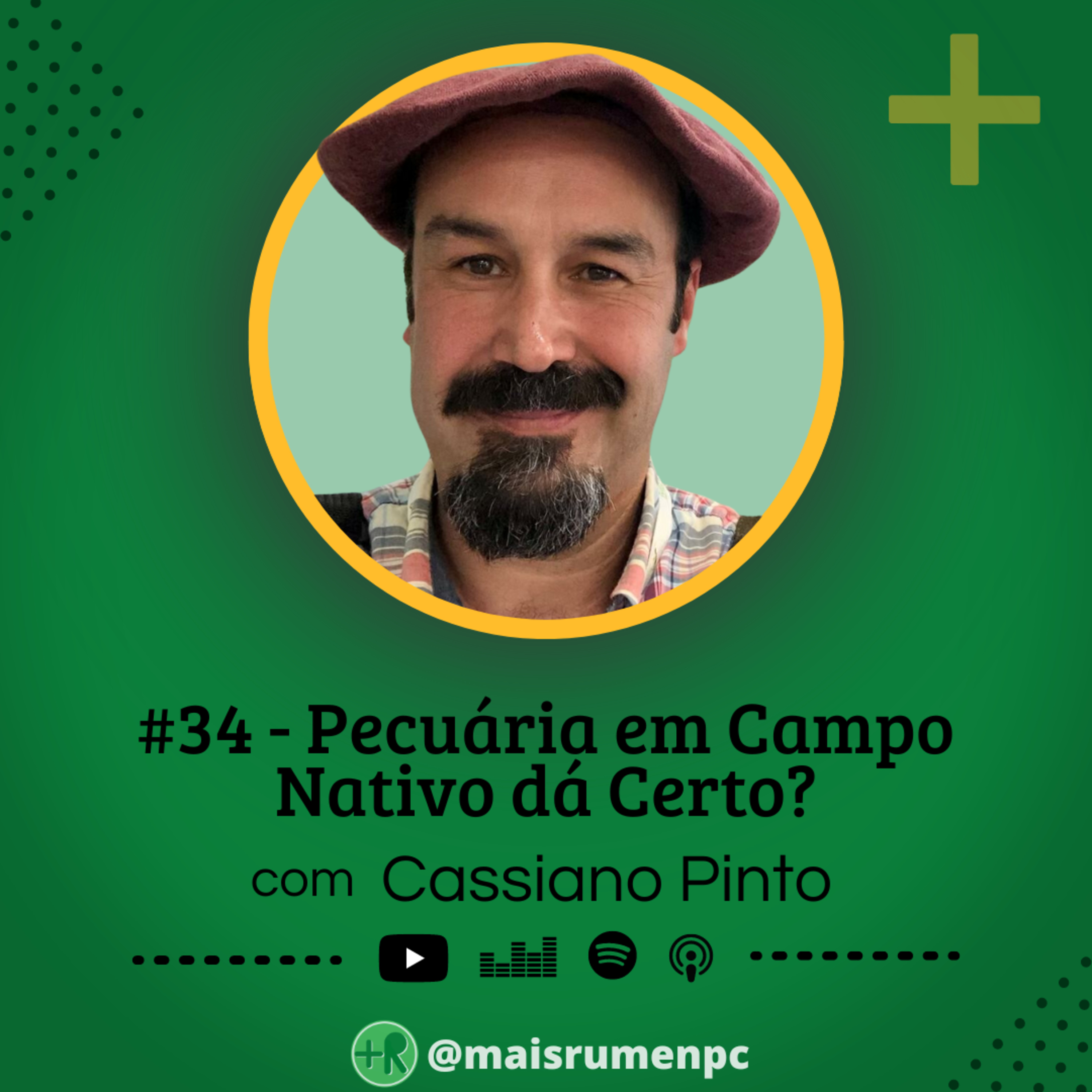 Mais Rúmen Podcast · by PPGVET