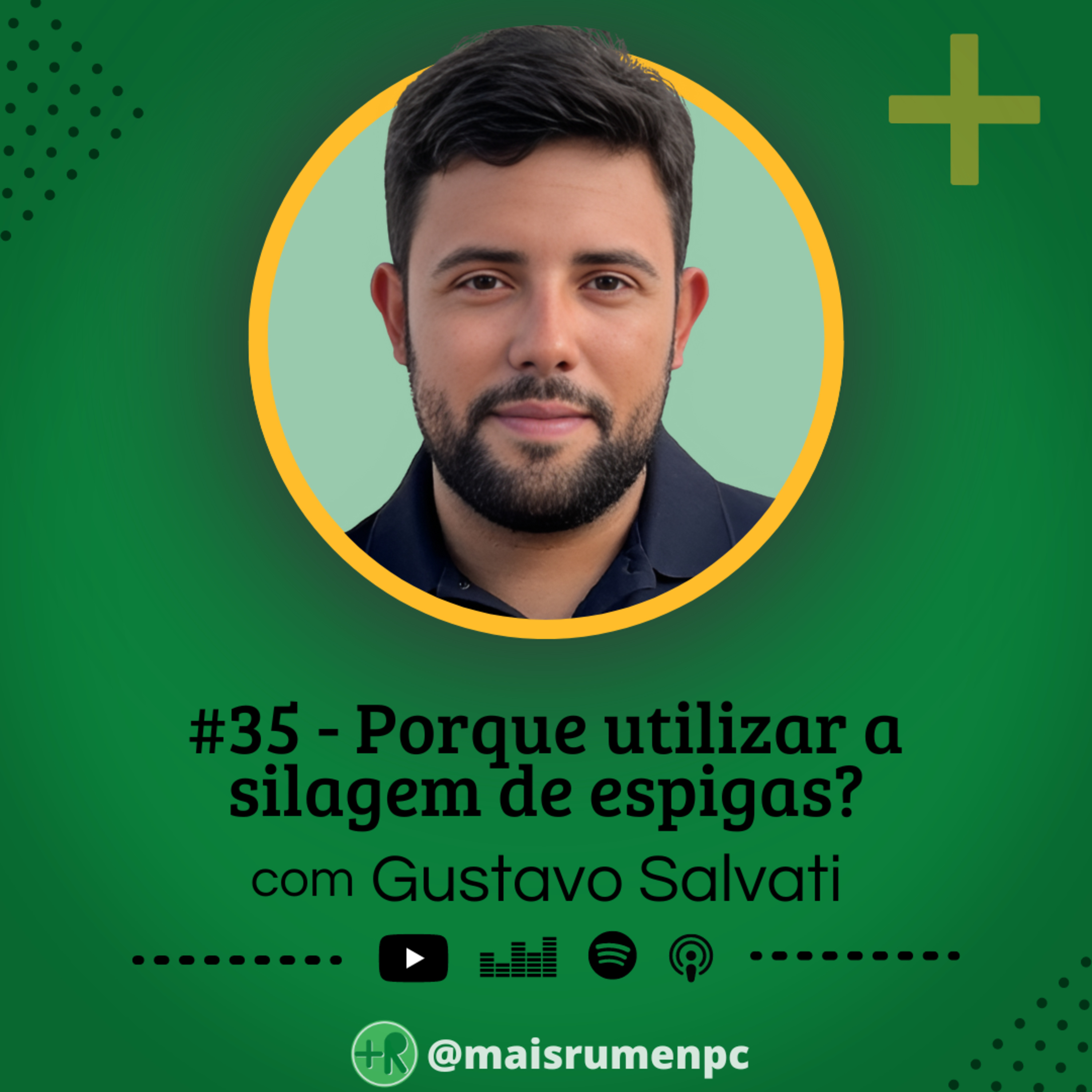 Mais Rúmen Podcast · by PPGVET