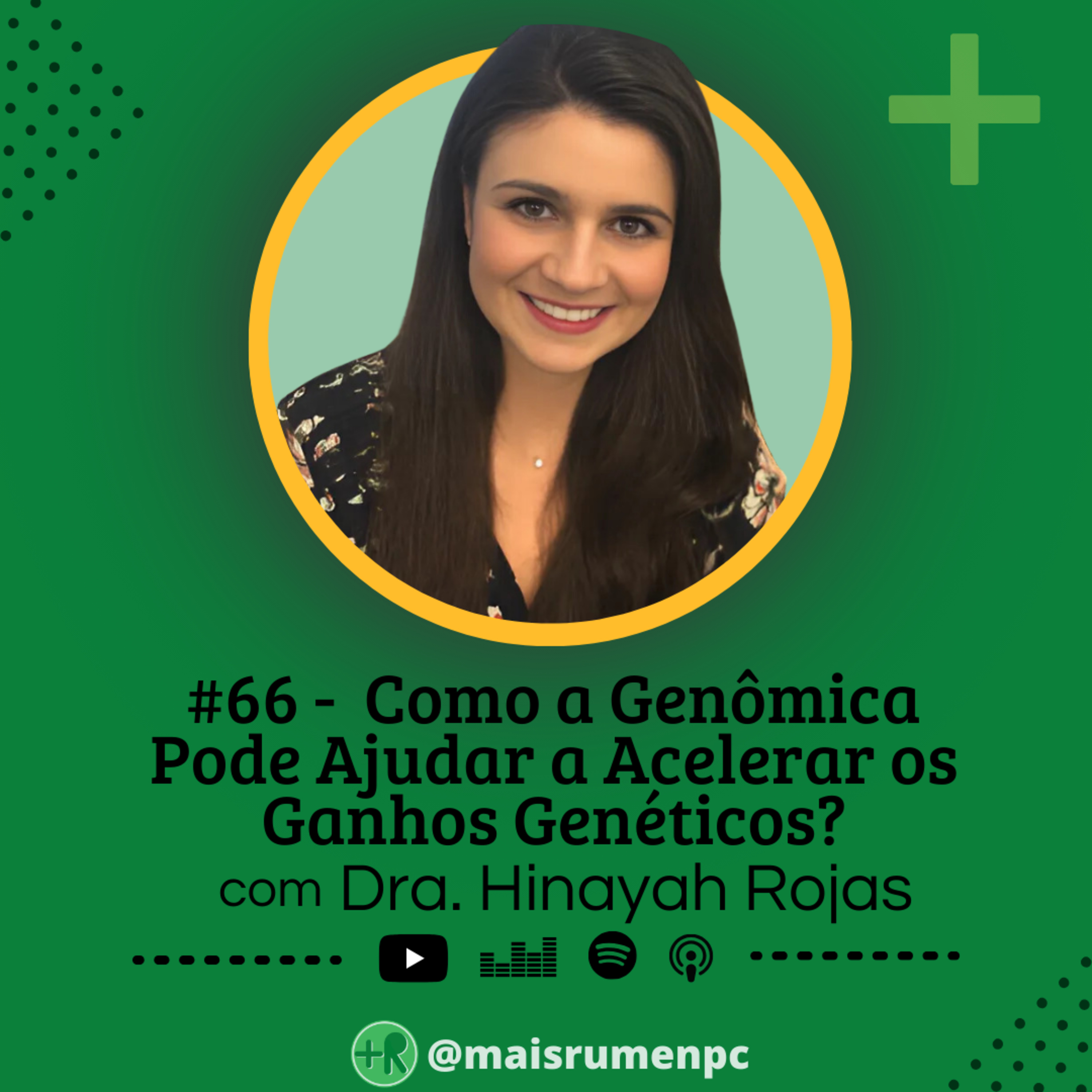 Mais Rúmen Podcast · by PPGVET