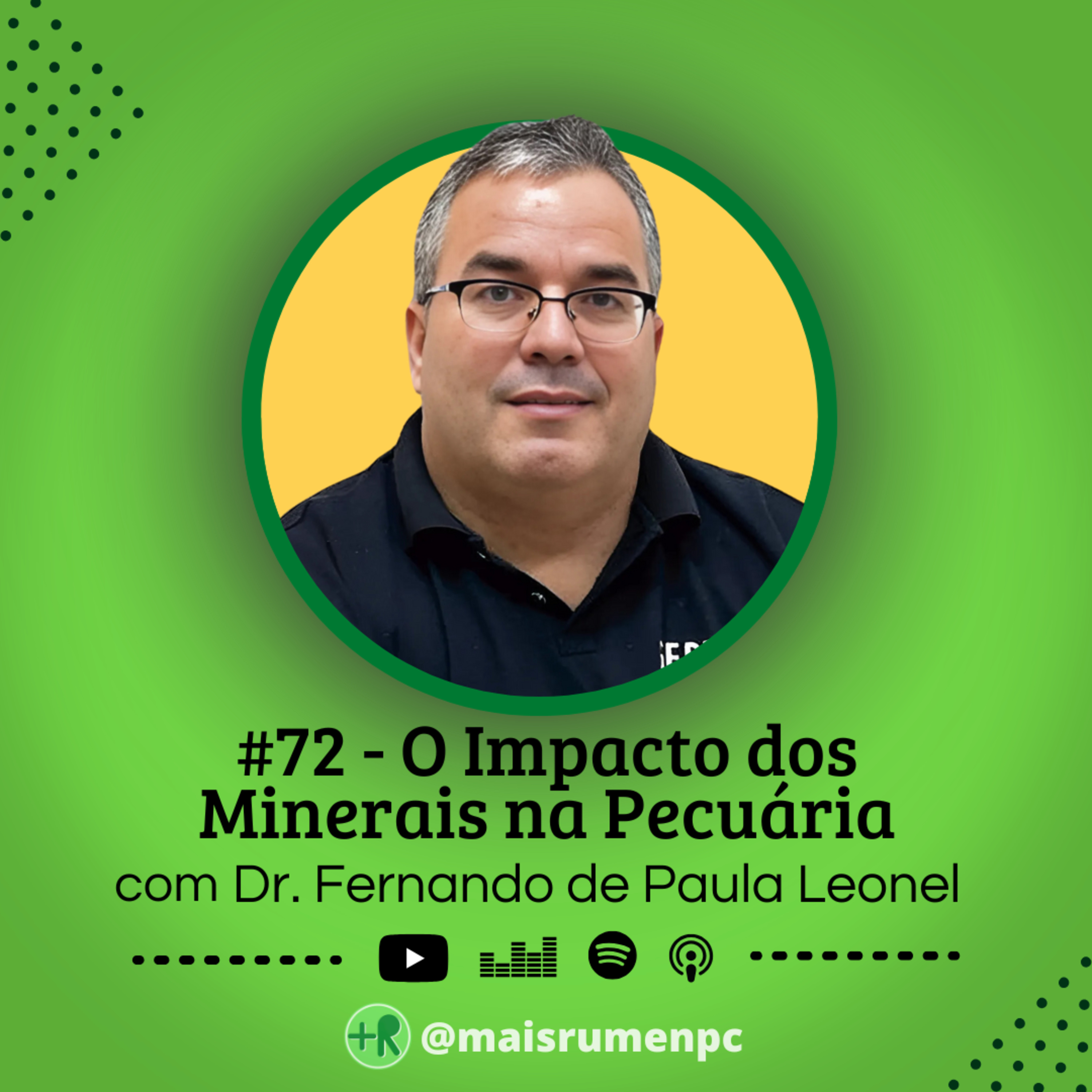 Mais Rúmen Podcast · by PPGVET