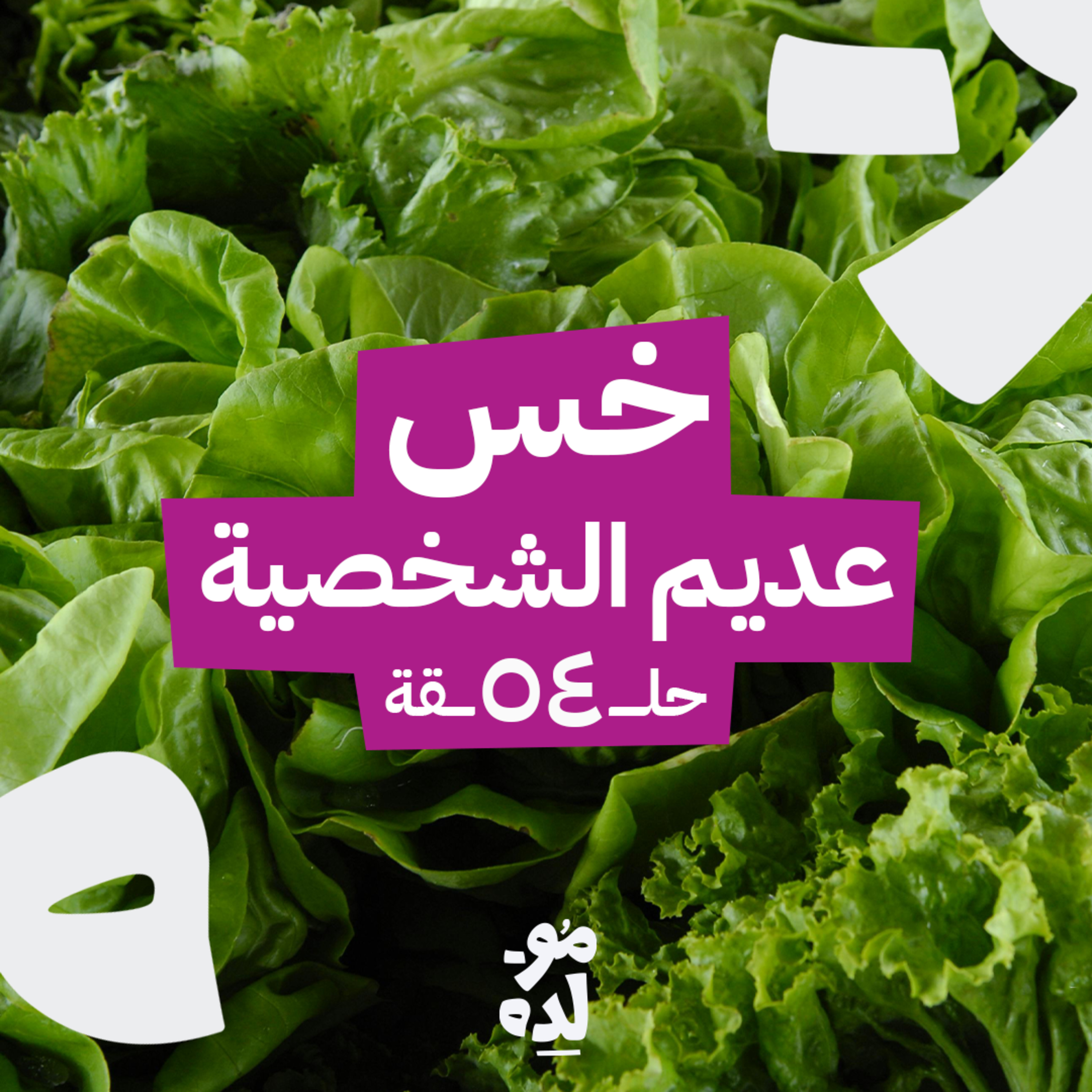 خس عديم الشخصية episode artwork