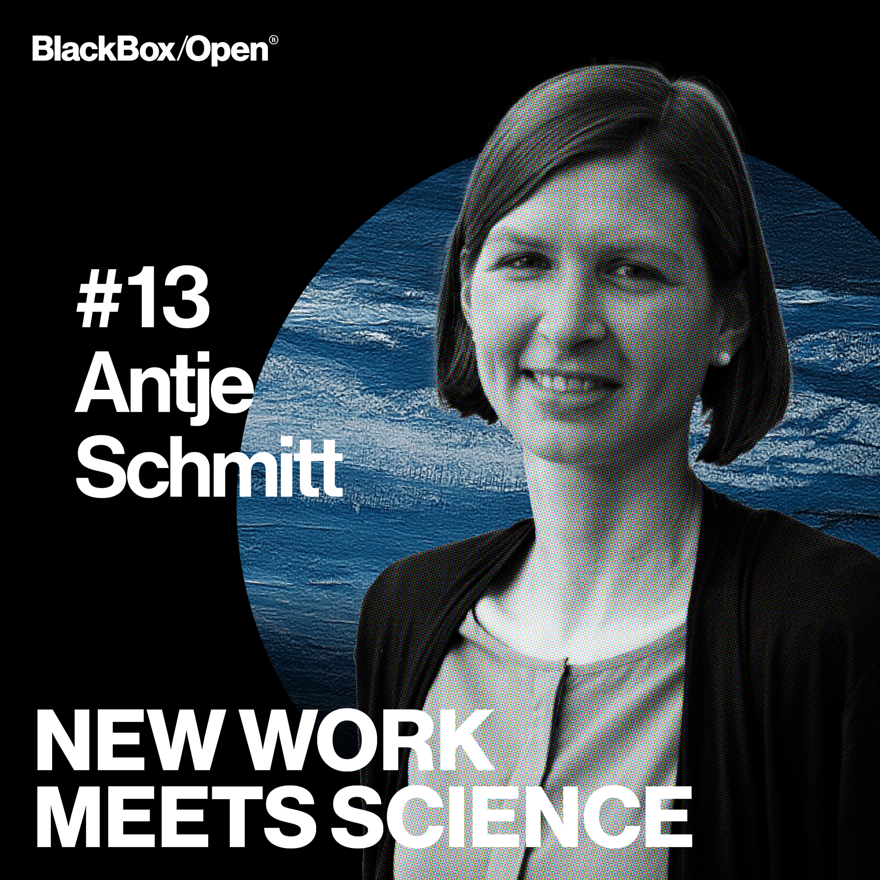 New Work Meets Science – Arbeitspsychologie, Organisationsentwicklung, Führung