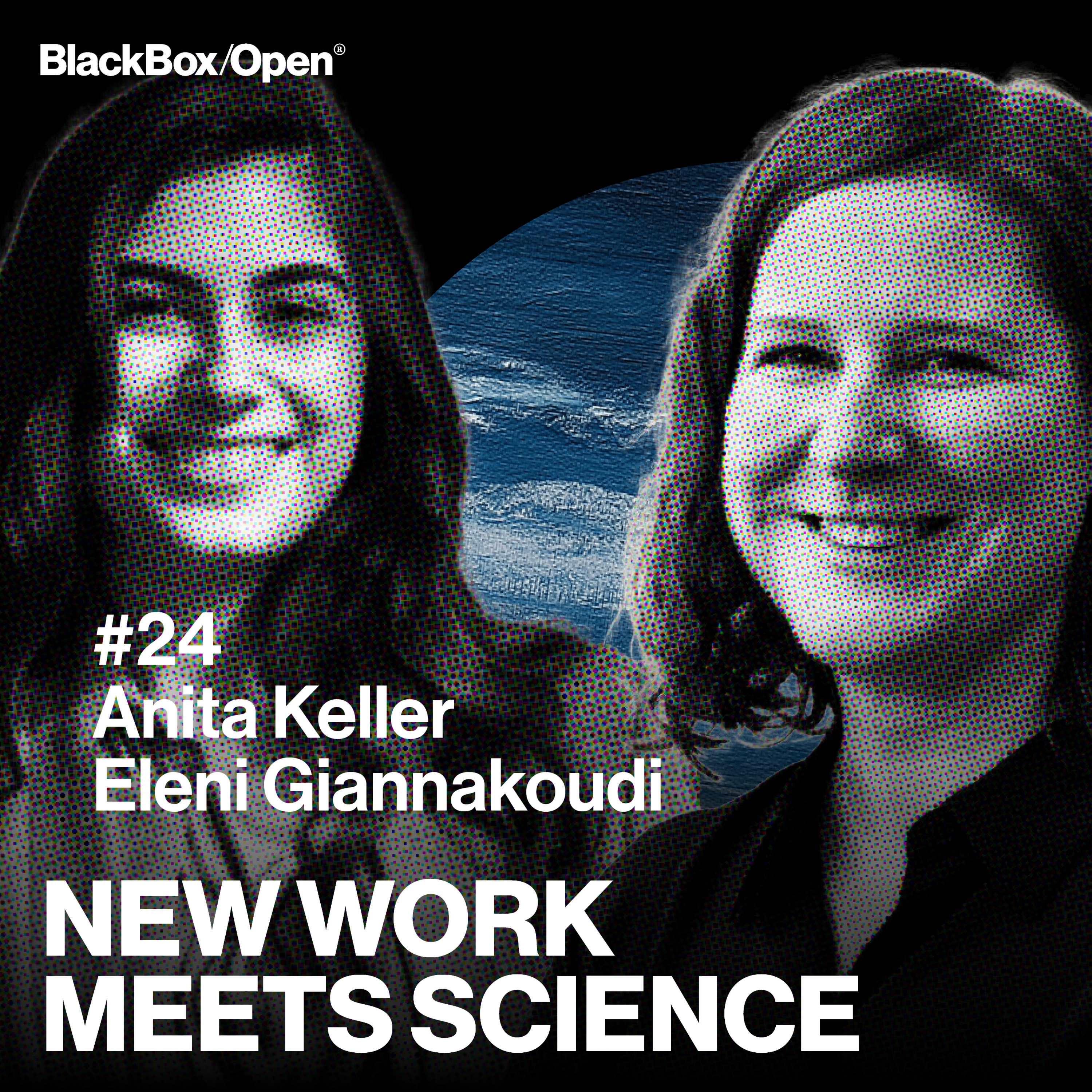 New Work Meets Science – Arbeitspsychologie, Organisationsentwicklung, Führung