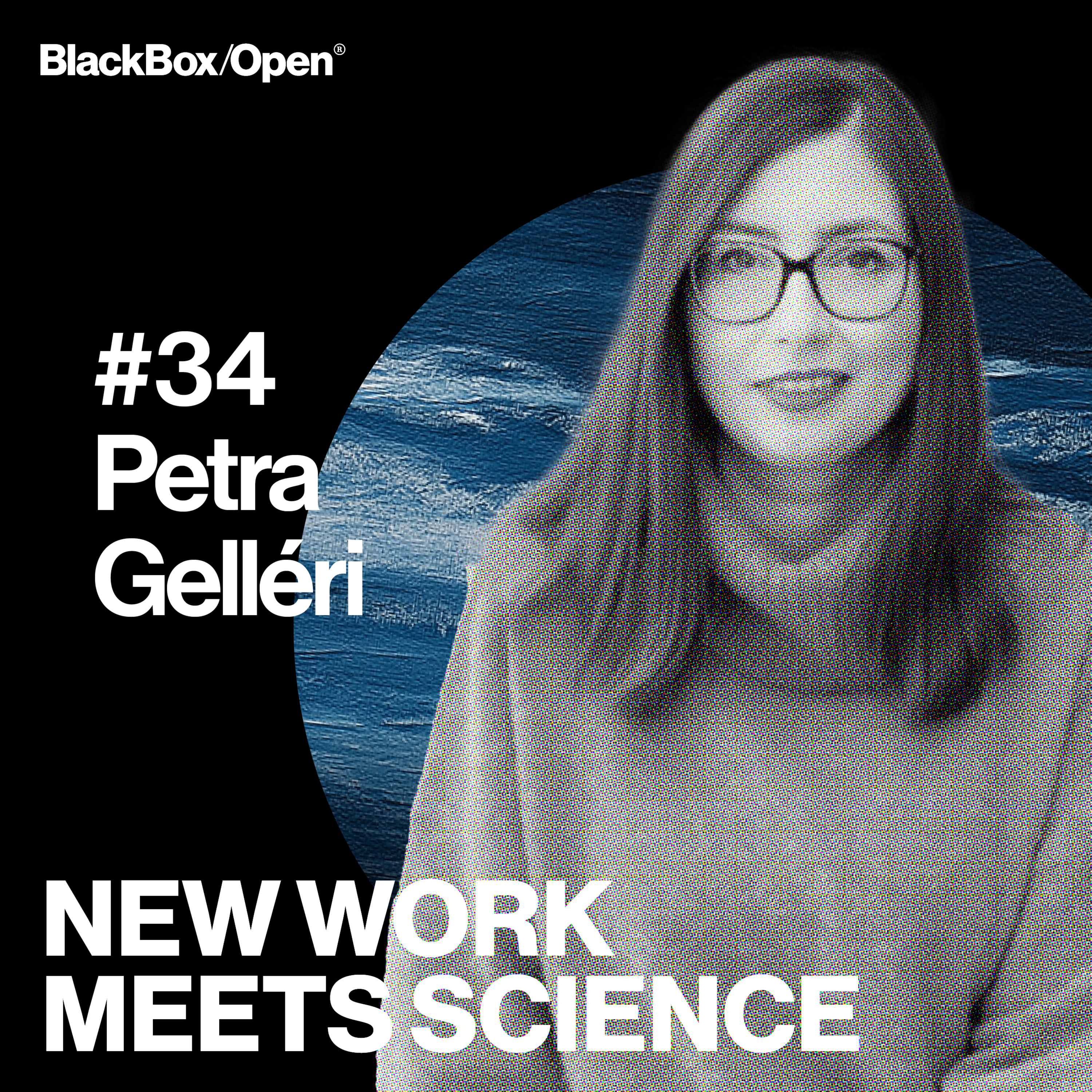 New Work Meets Science – Arbeitspsychologie, Organisationsentwicklung, Führung