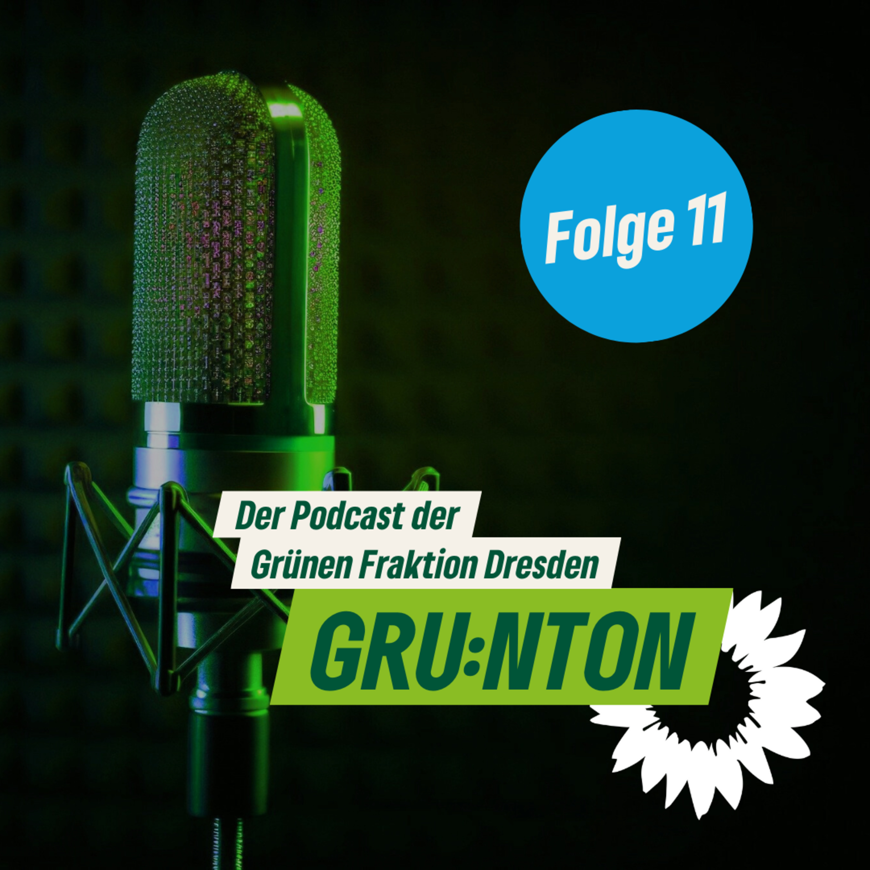 Grünton - Der Podcast der Grünen Fraktion Dresden