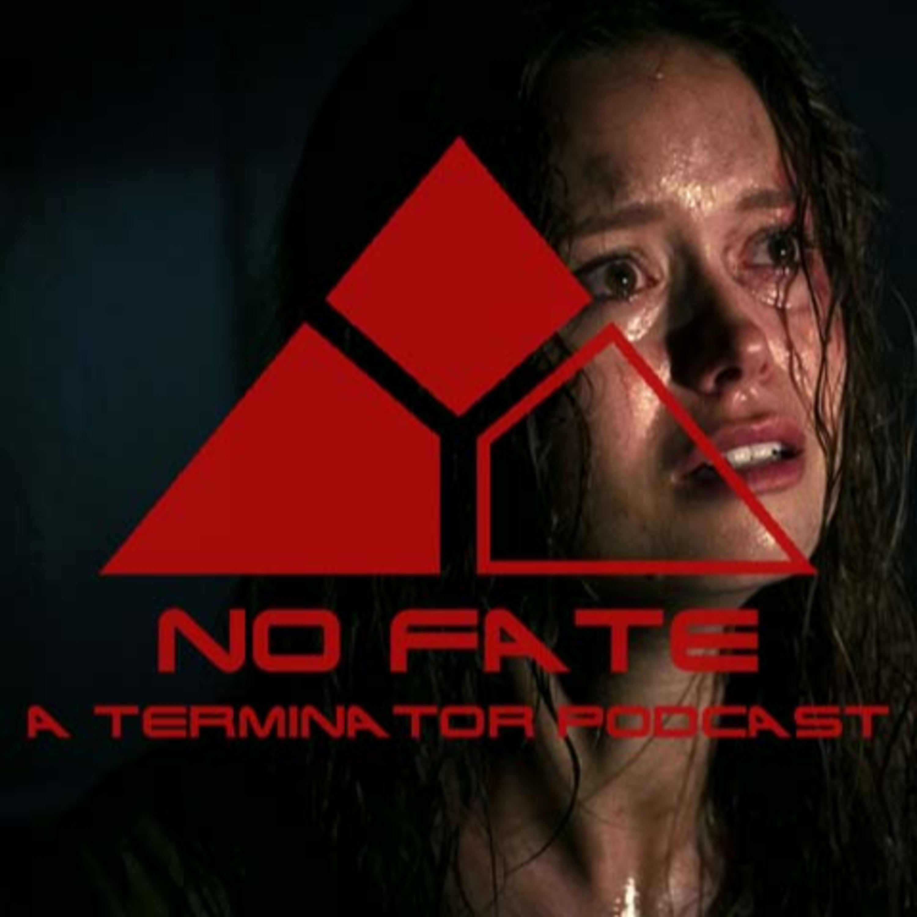 Episode 24 - The Sarah Connor Chronicles: “Allison from Palmdale”