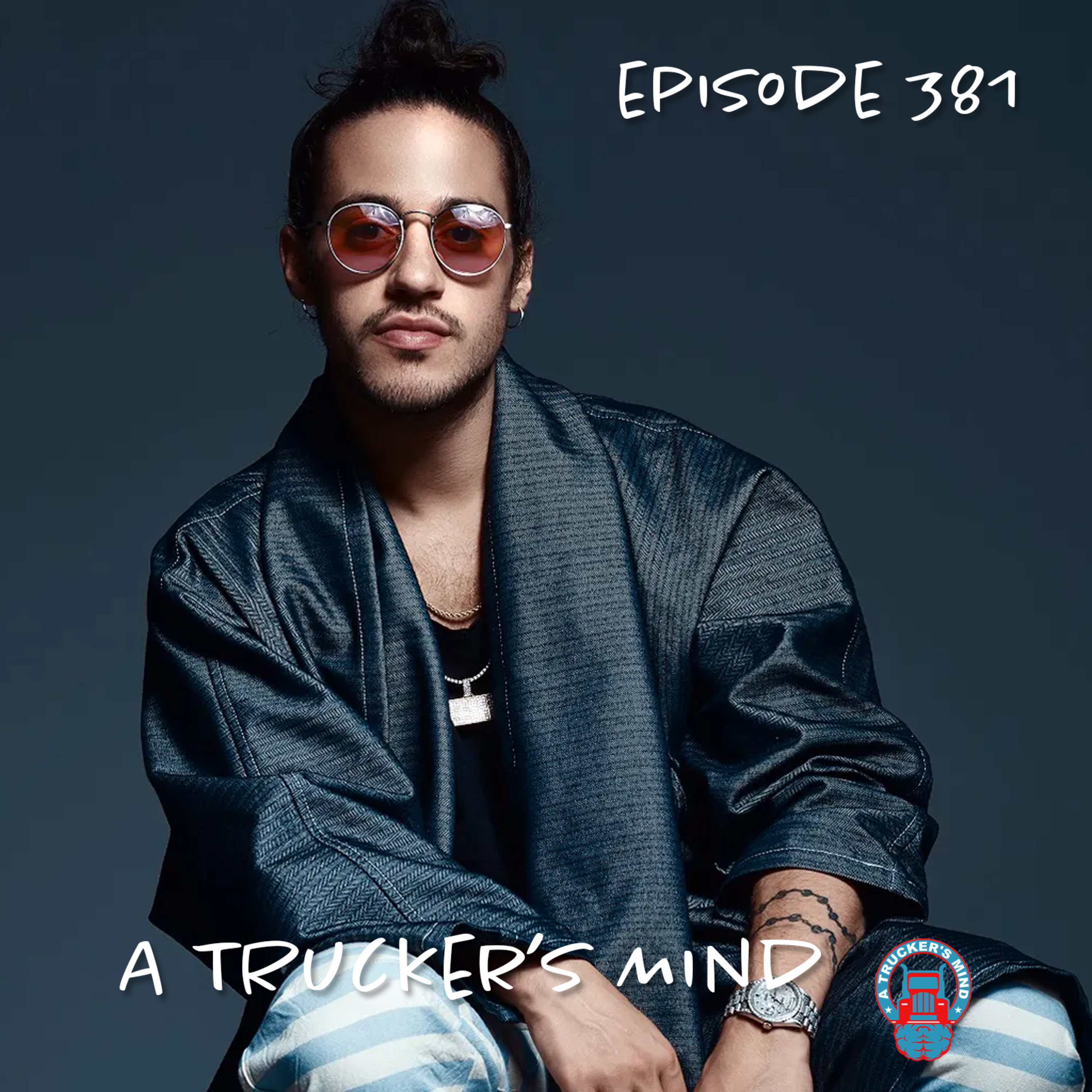A Trucker's Mind Podcast Episode 381 | "Stans" episode artwork